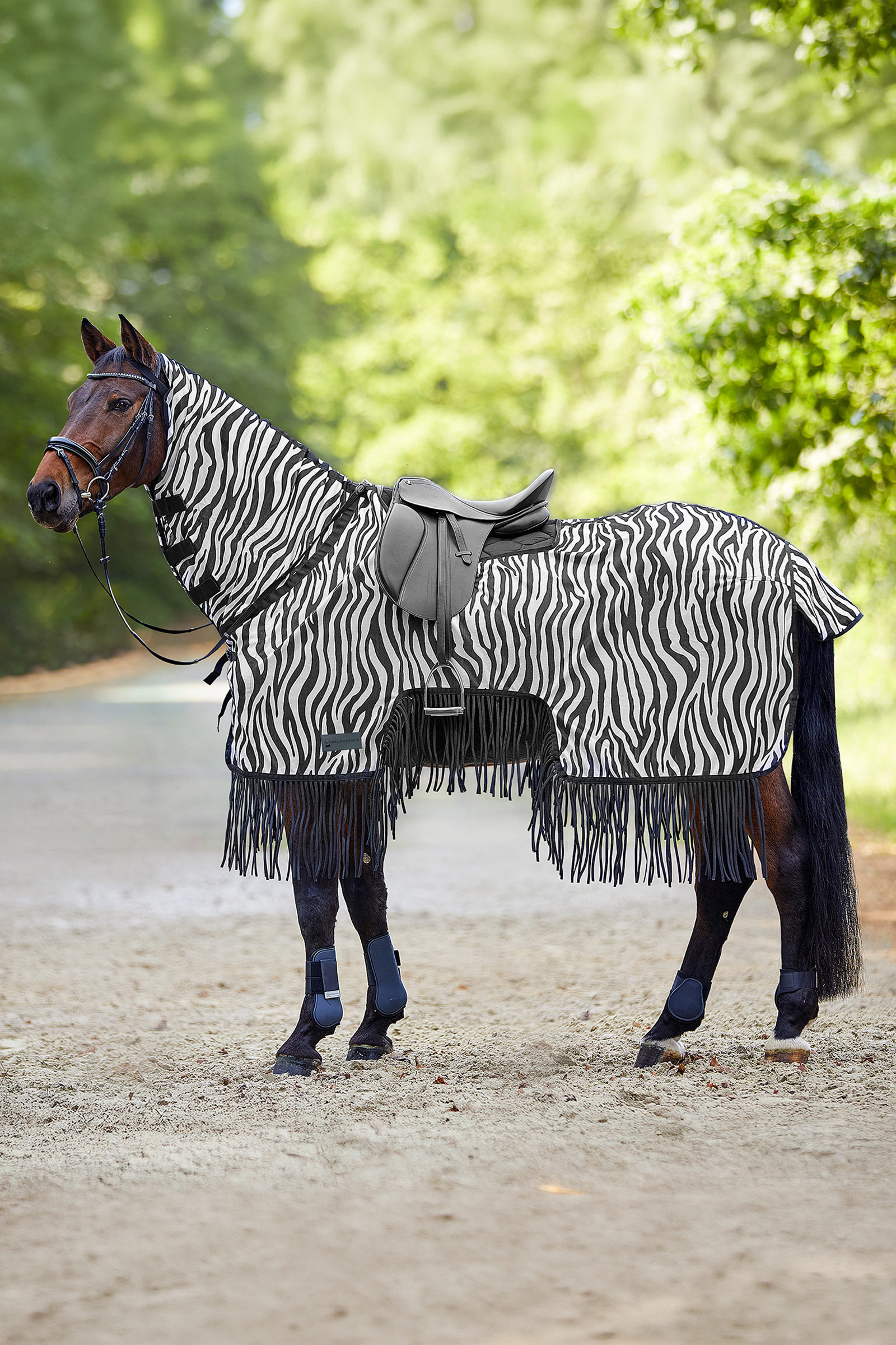 Waldhausen Zebra Fliegendecke mit Sattelausschnitt und Fransen, UV-Schutz
