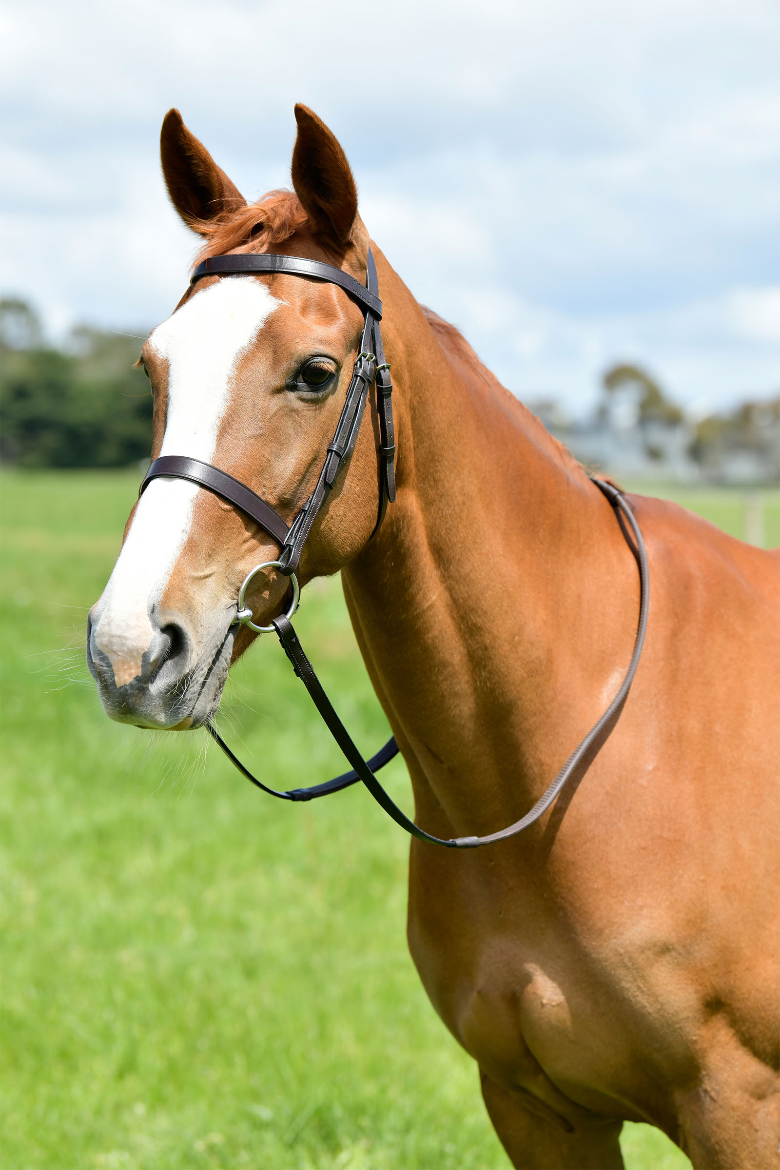 Kincade Classic flache Jagdtrense mit Z&uuml;geln