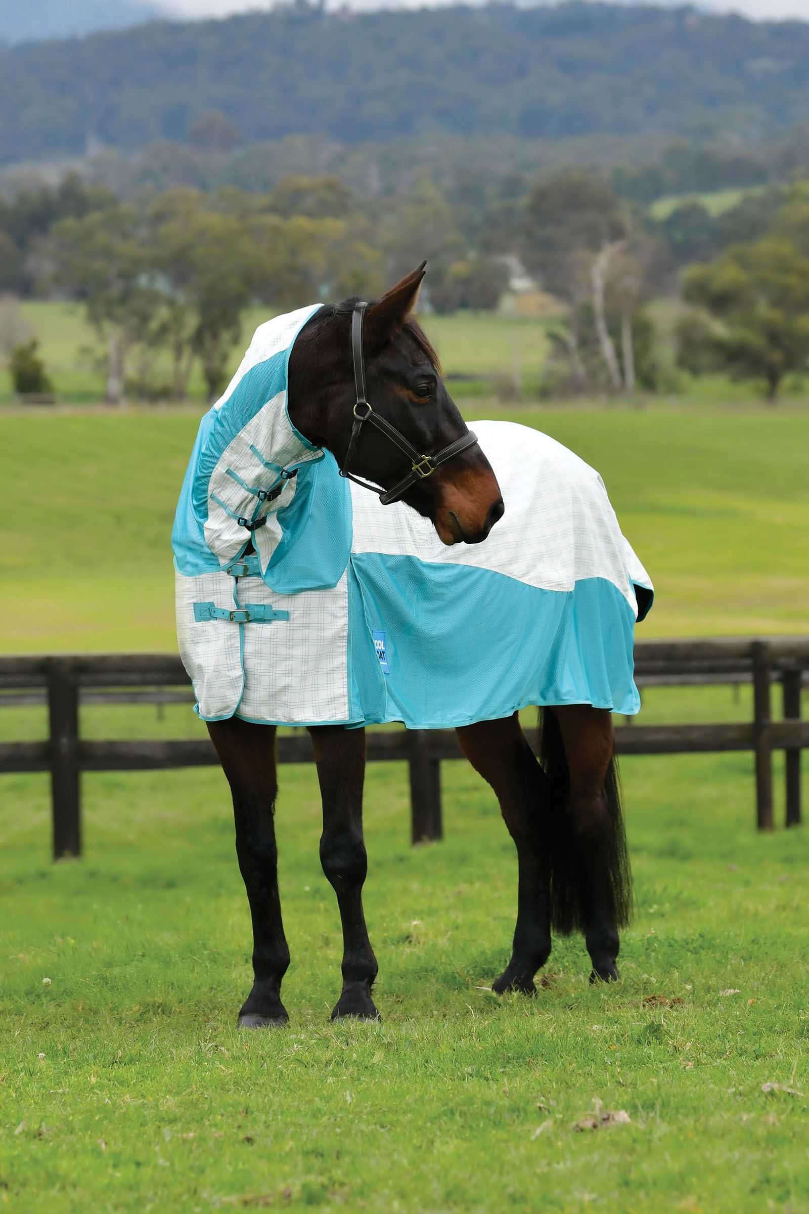 Weatherbeeta Kool Coat Baumwolle Airstream Ii Detach-A-Neck