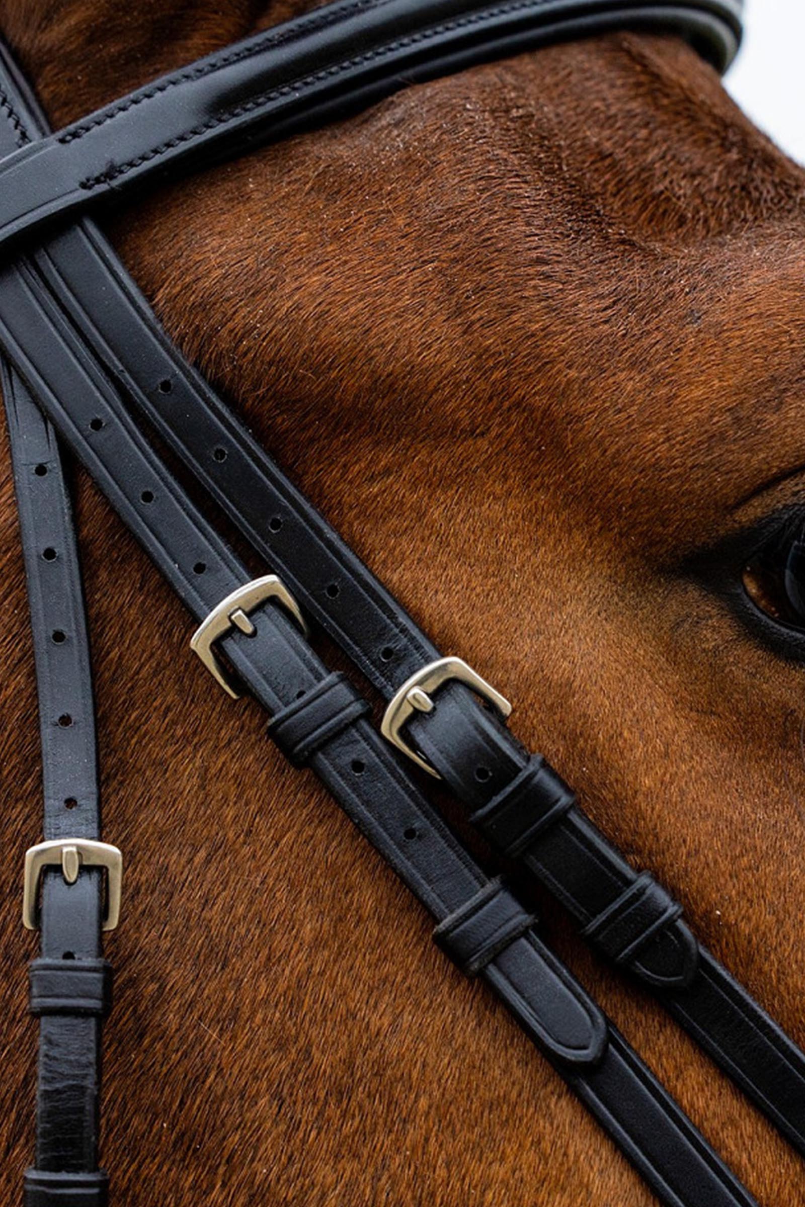 Trust Equestrian Rome Drop Noseband Bridle