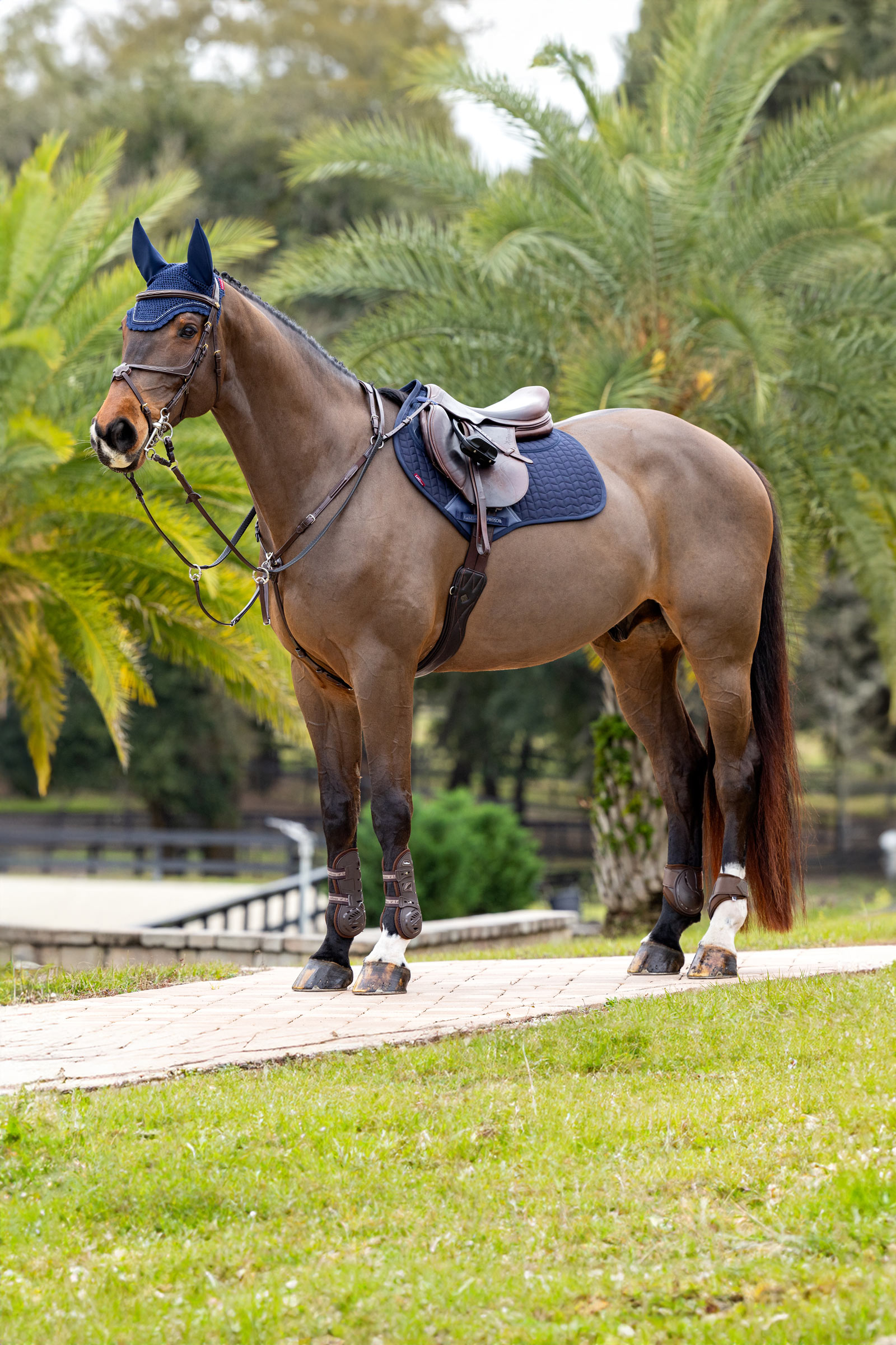 LeMieux Prosorb Plain 2 Pocket Close Contact Pad