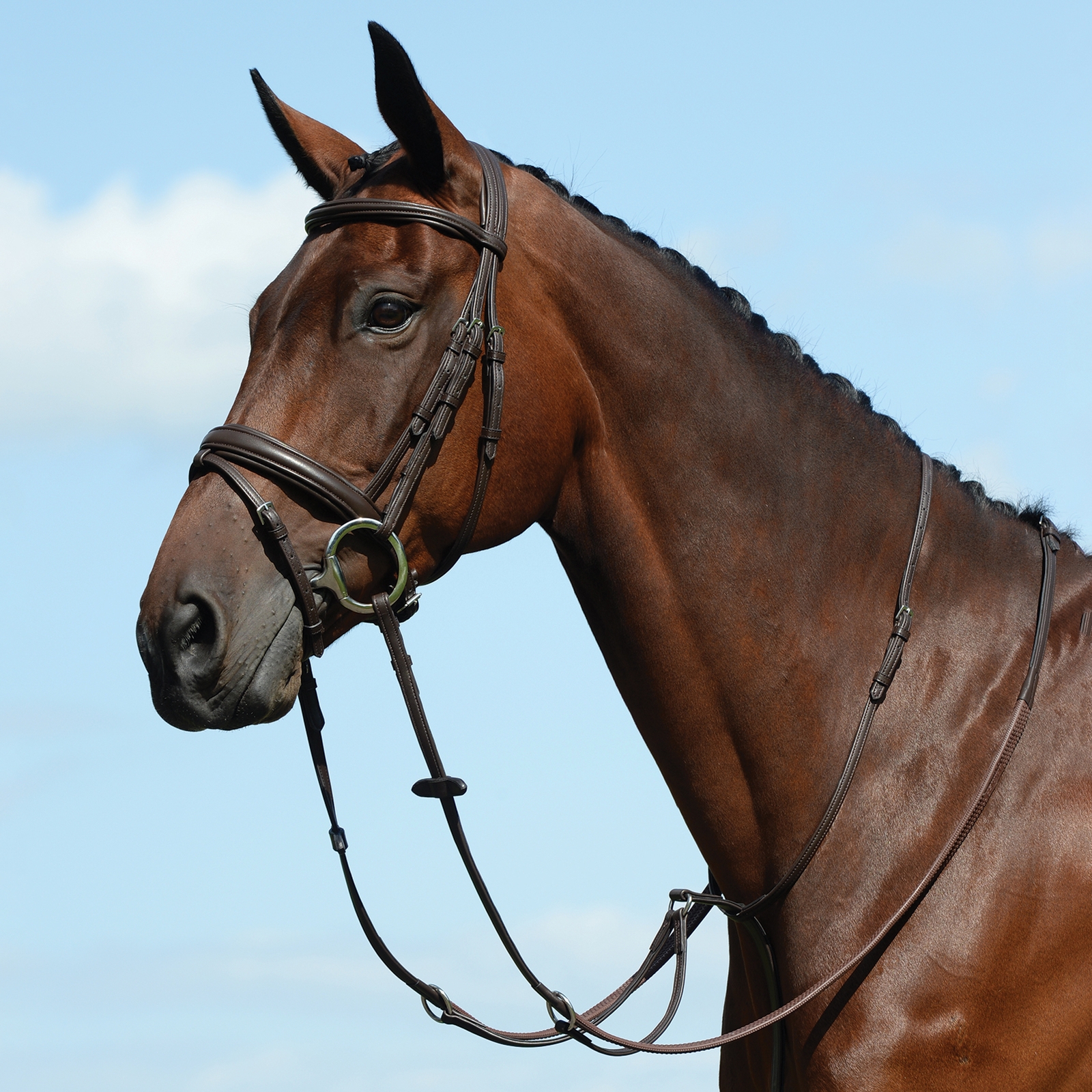 Brown Collegiate Syntovia+ Plain Flat Running Martingale