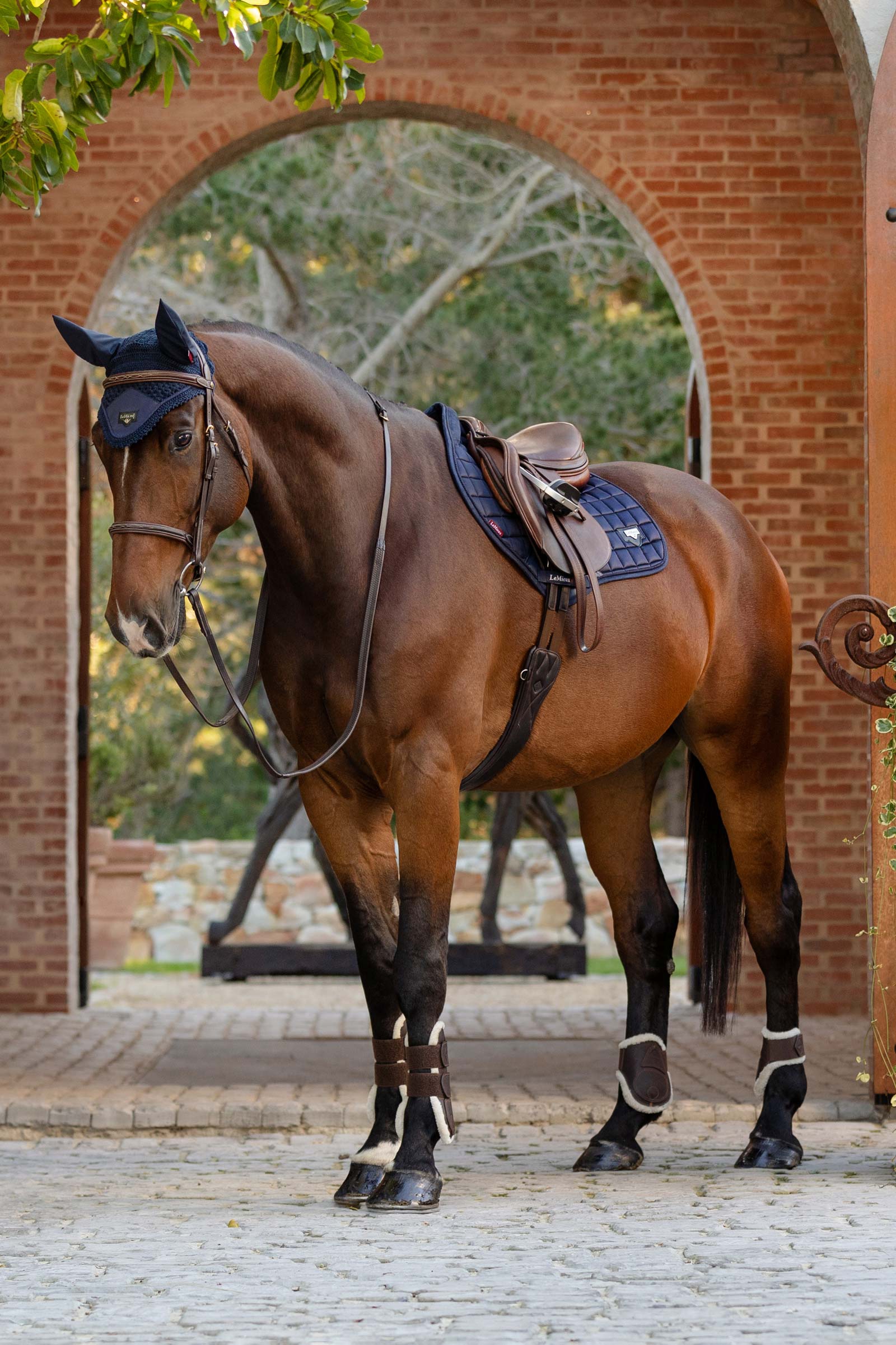 LeMieux Loire Classic Square CC Springschabracke