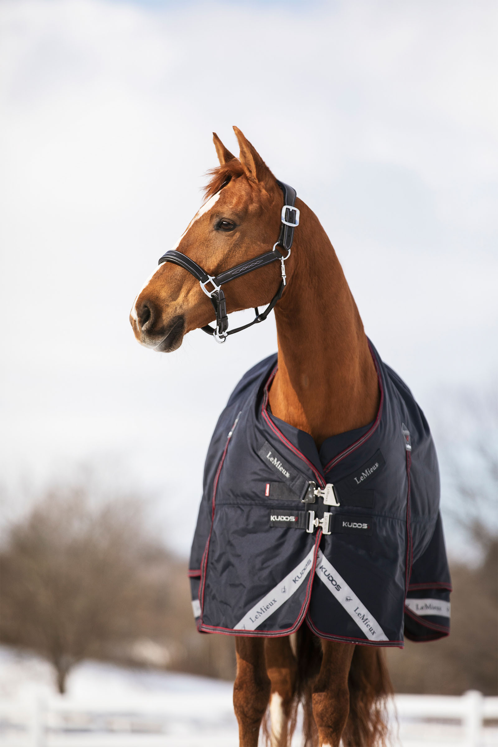 LeMieux Kudos Outdoordecke 350g
