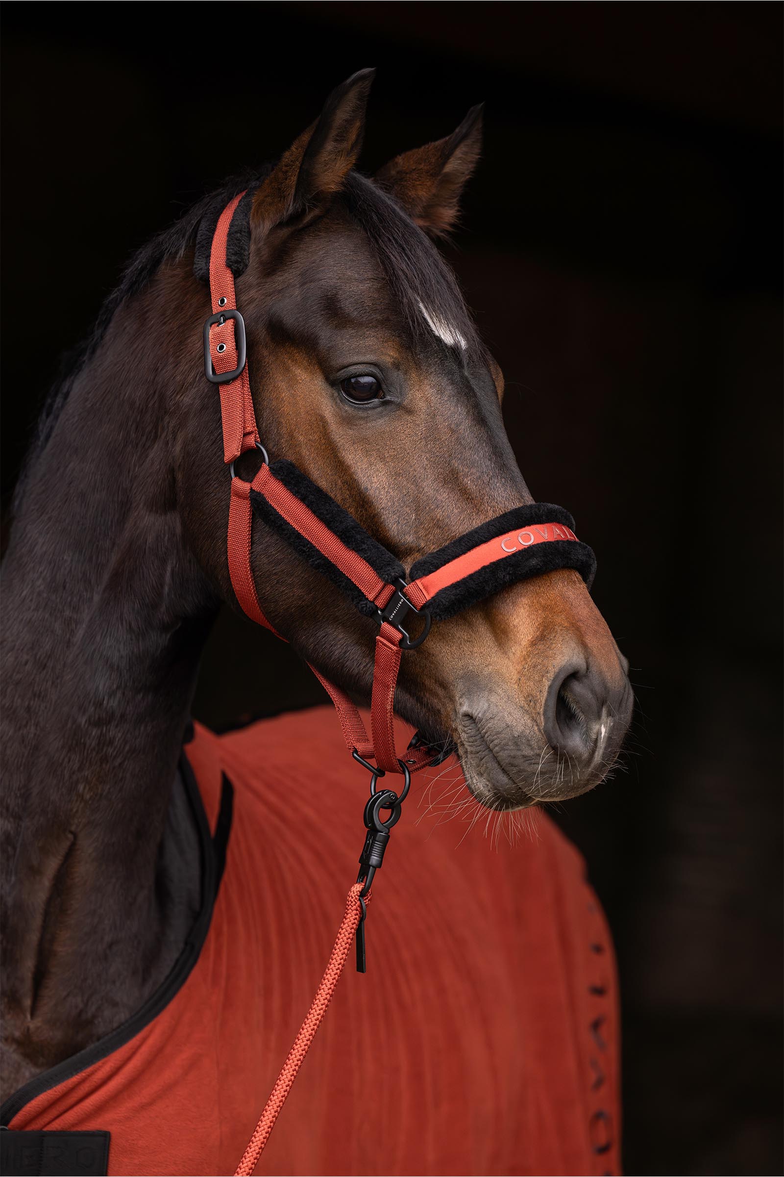 Covalliero Gepolstertes Halfter