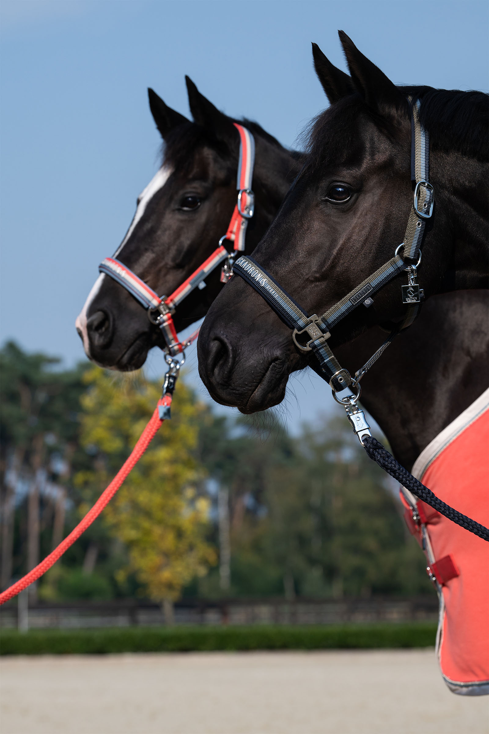 Eskadron Classic Sports SS25 Halfter mit Double Pin