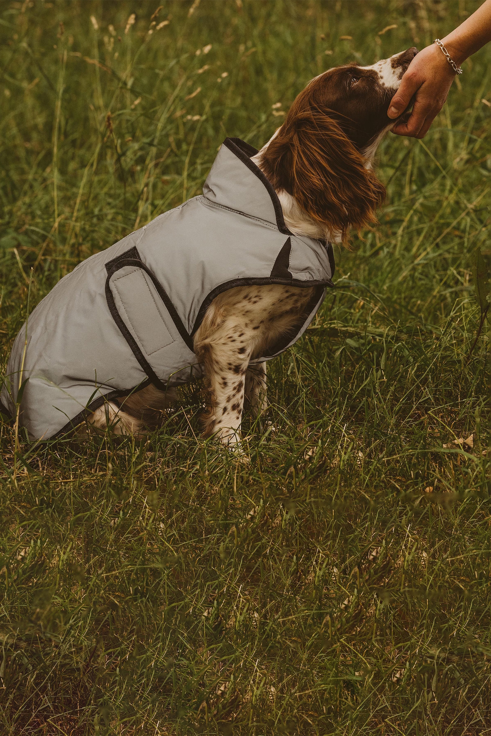 Weatherbeeta Comfitec Reflective Print Active Hundemantel