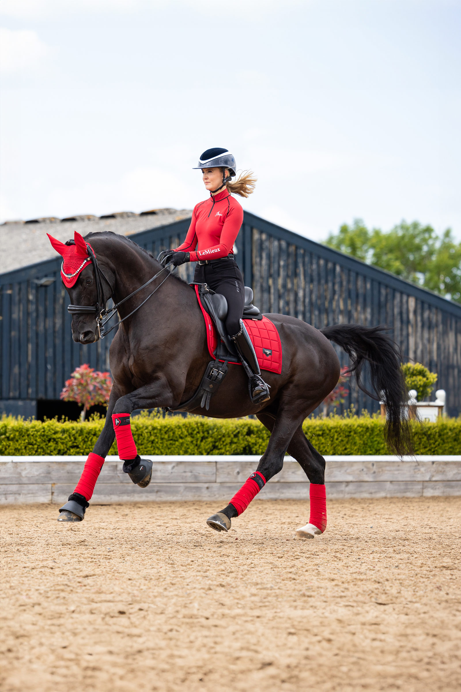 LeMieux Loire Klassische Quadratische Dressur Schabracke