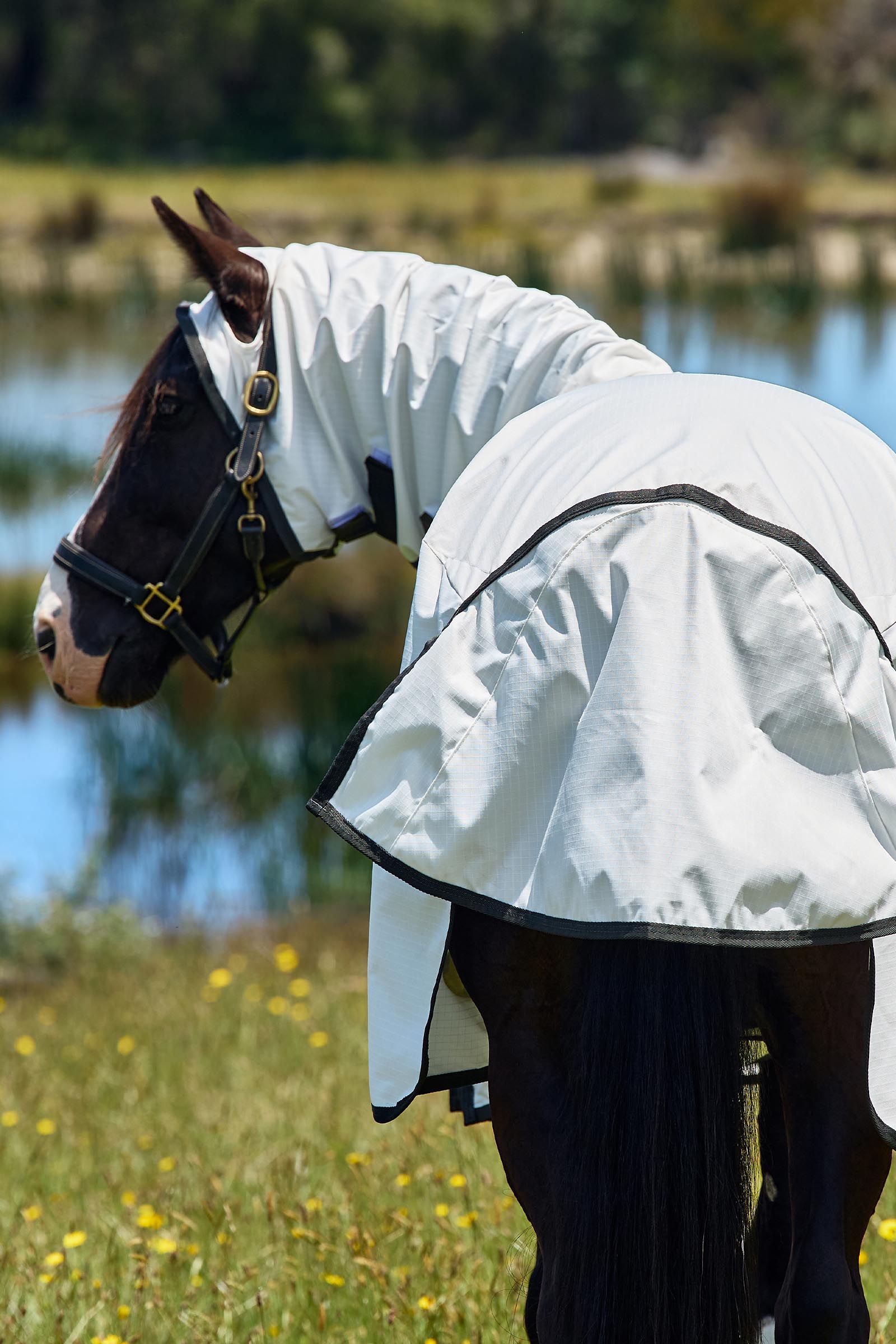 Weatherbeeta ComFiTec Sweet Itch Shield Fliegendecke Kombi mit festem Hals, 0 g  