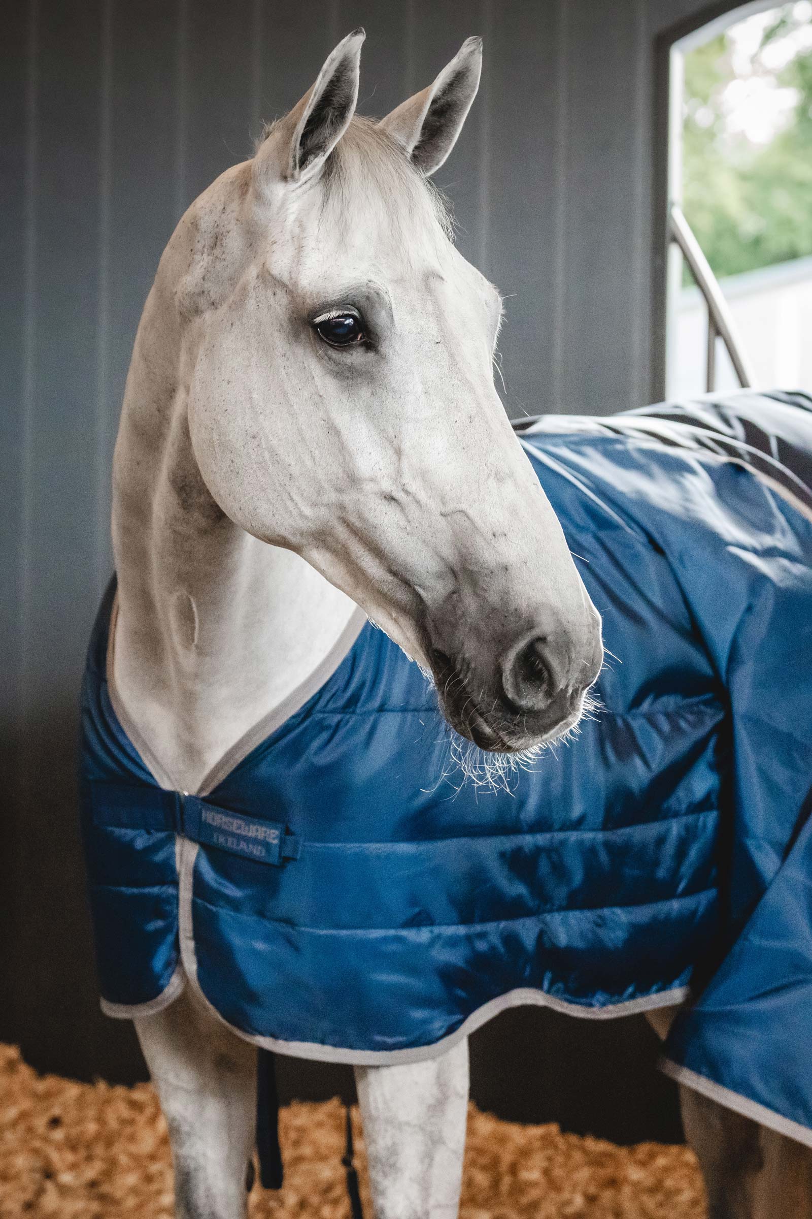 Horseware Ionic Therapy Unterdecke 50g