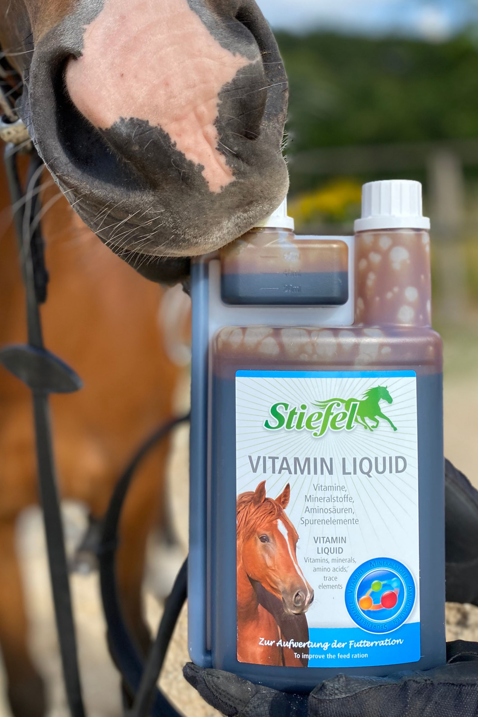 Stiefel Vitamin Liquid