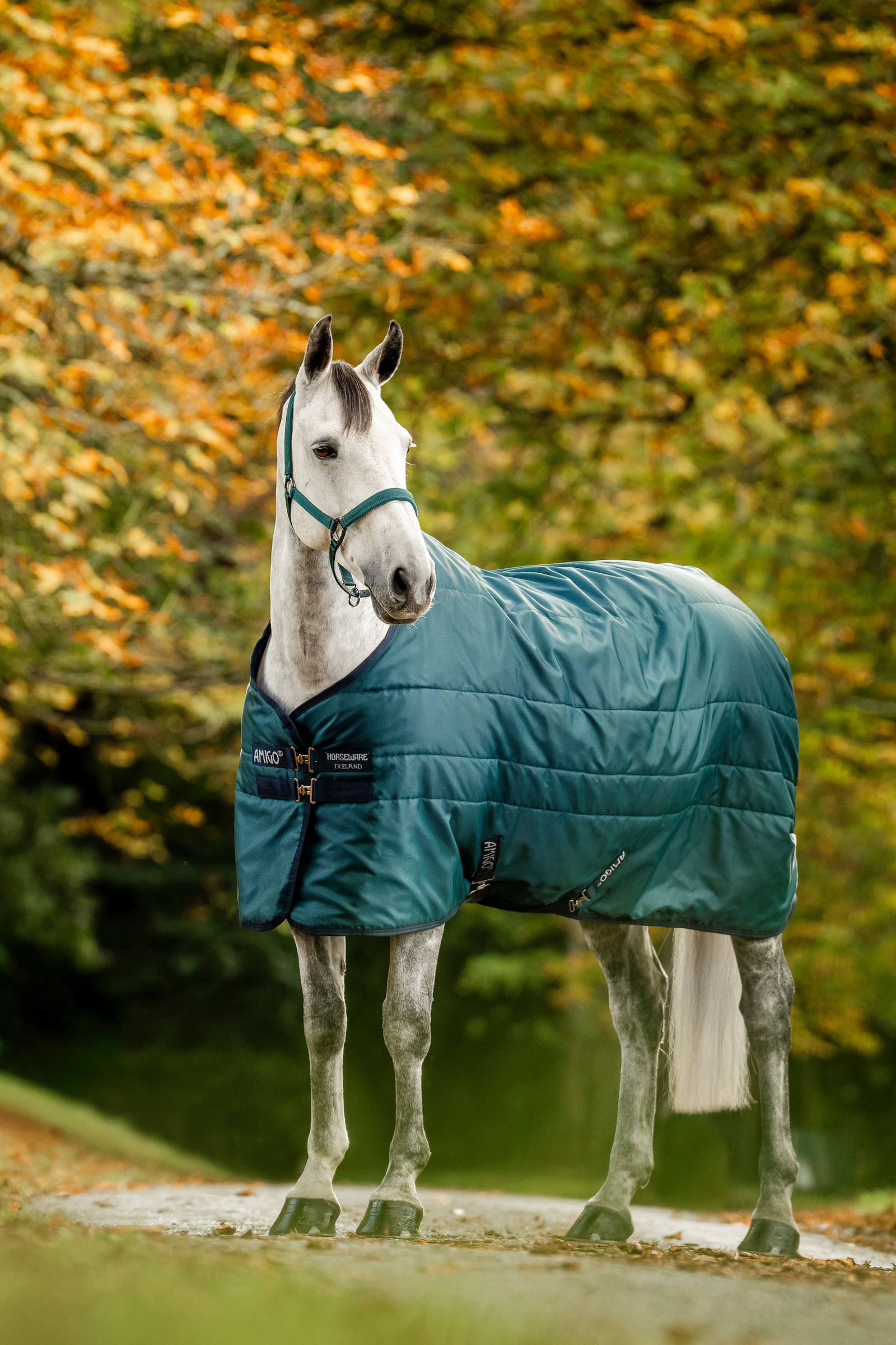 Horseware Amigo Ripstop Stalldecke mit F&uuml;llung, 350 g