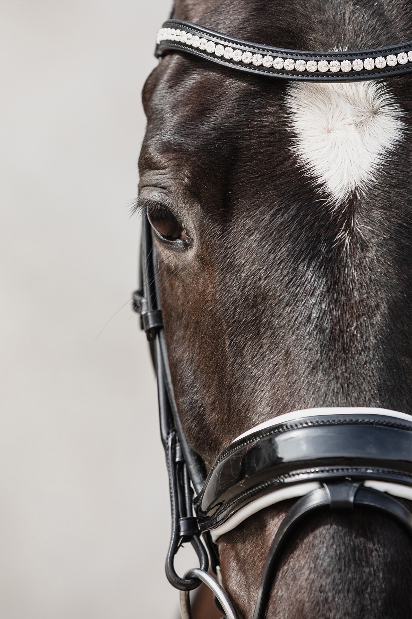 Schockemöhle Sports Malibu anatomische Dressur Trense