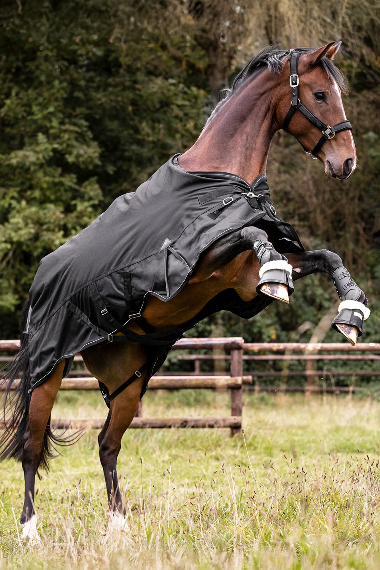 Waldhausen Outdoor Rug Scandic 300 g