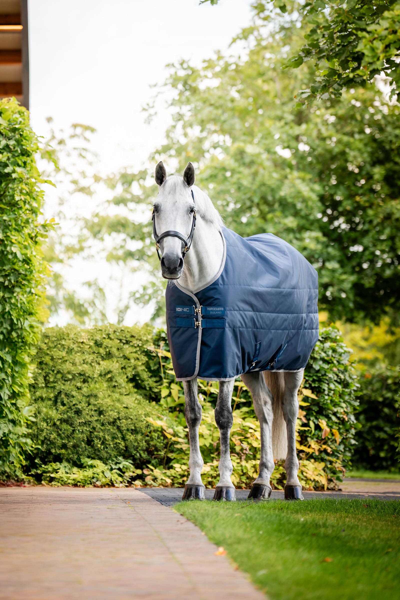 Horseware Ionic Therapy Stalldecke, 50g