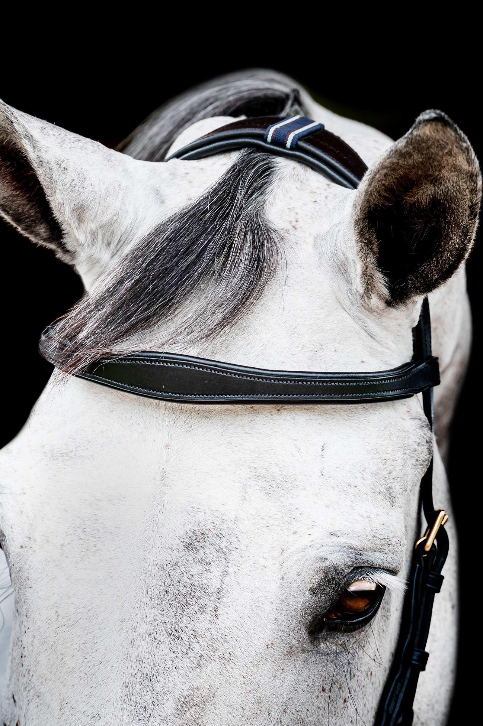 Horseware Micklem 2 Multi Trense