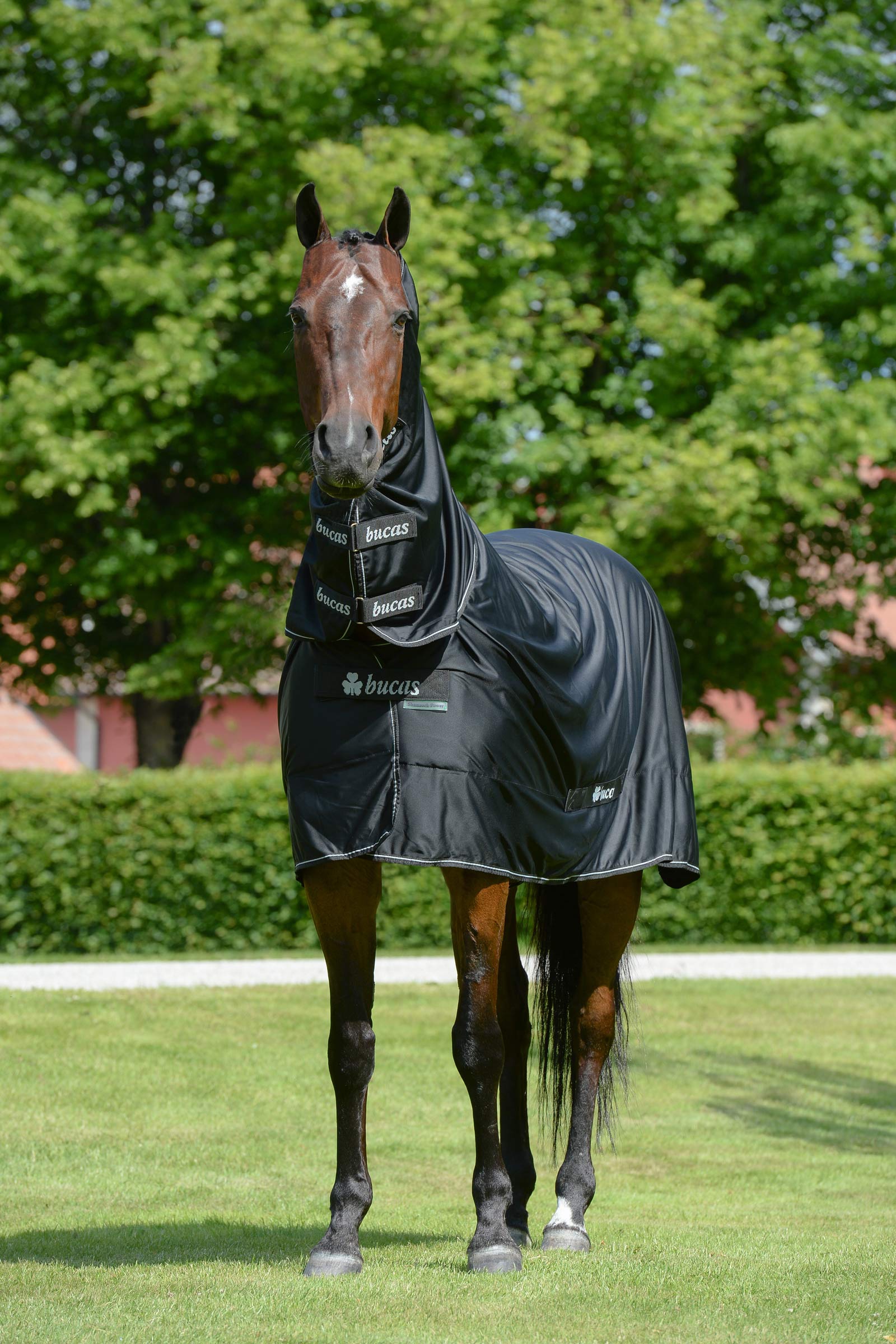 Bucas Shamrock Power Decke mit Halsteil