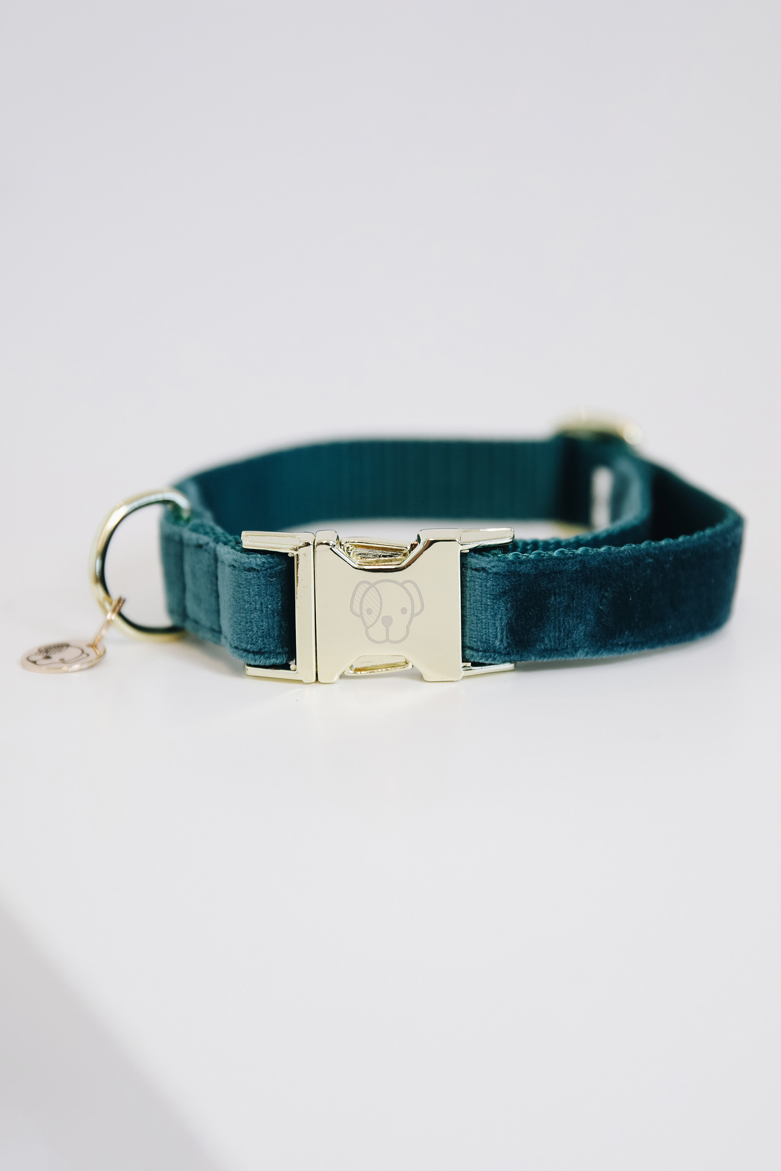 Kentucky Dogwear Hundehalsband Velvet