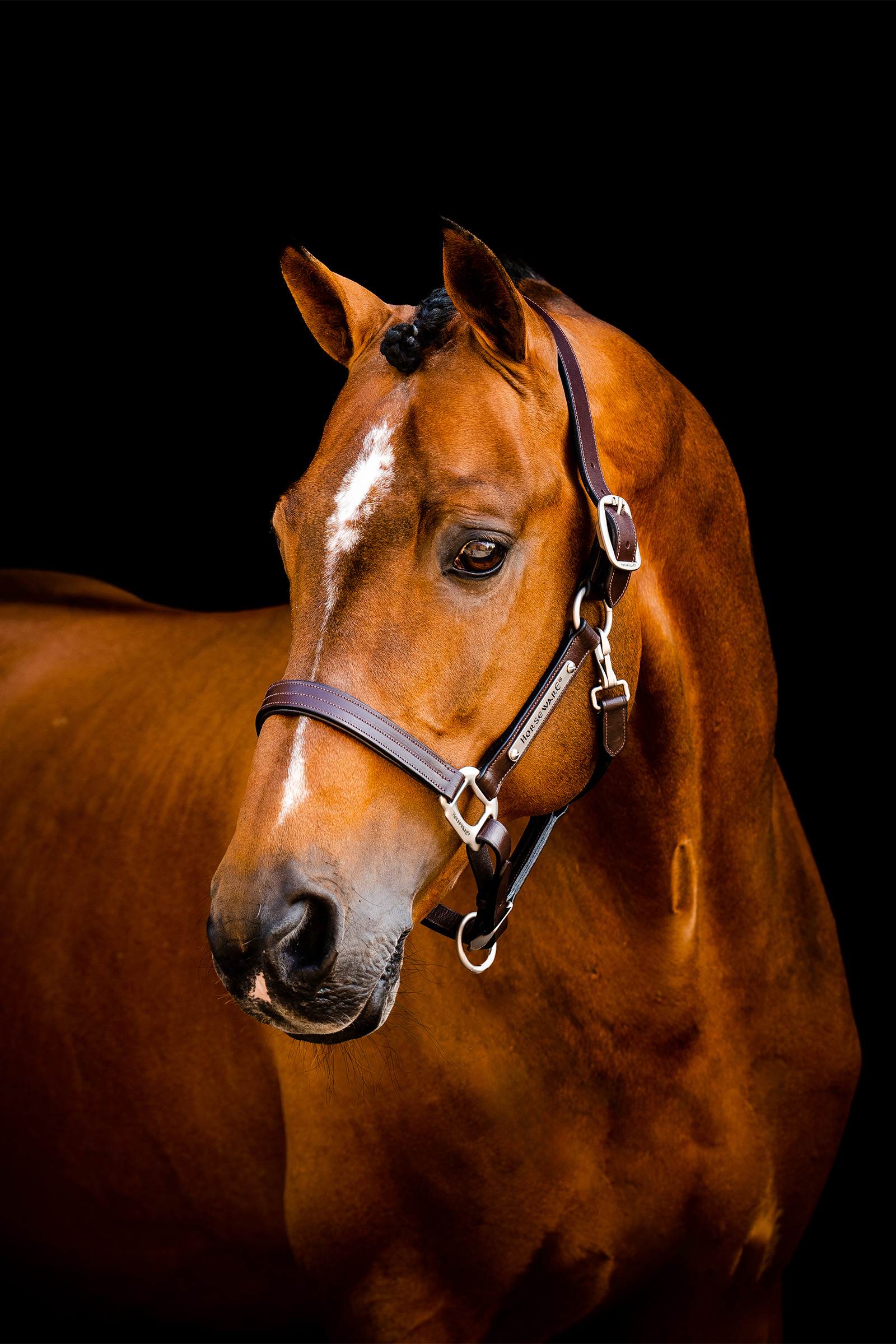 Horseware Signature Lederhalfter