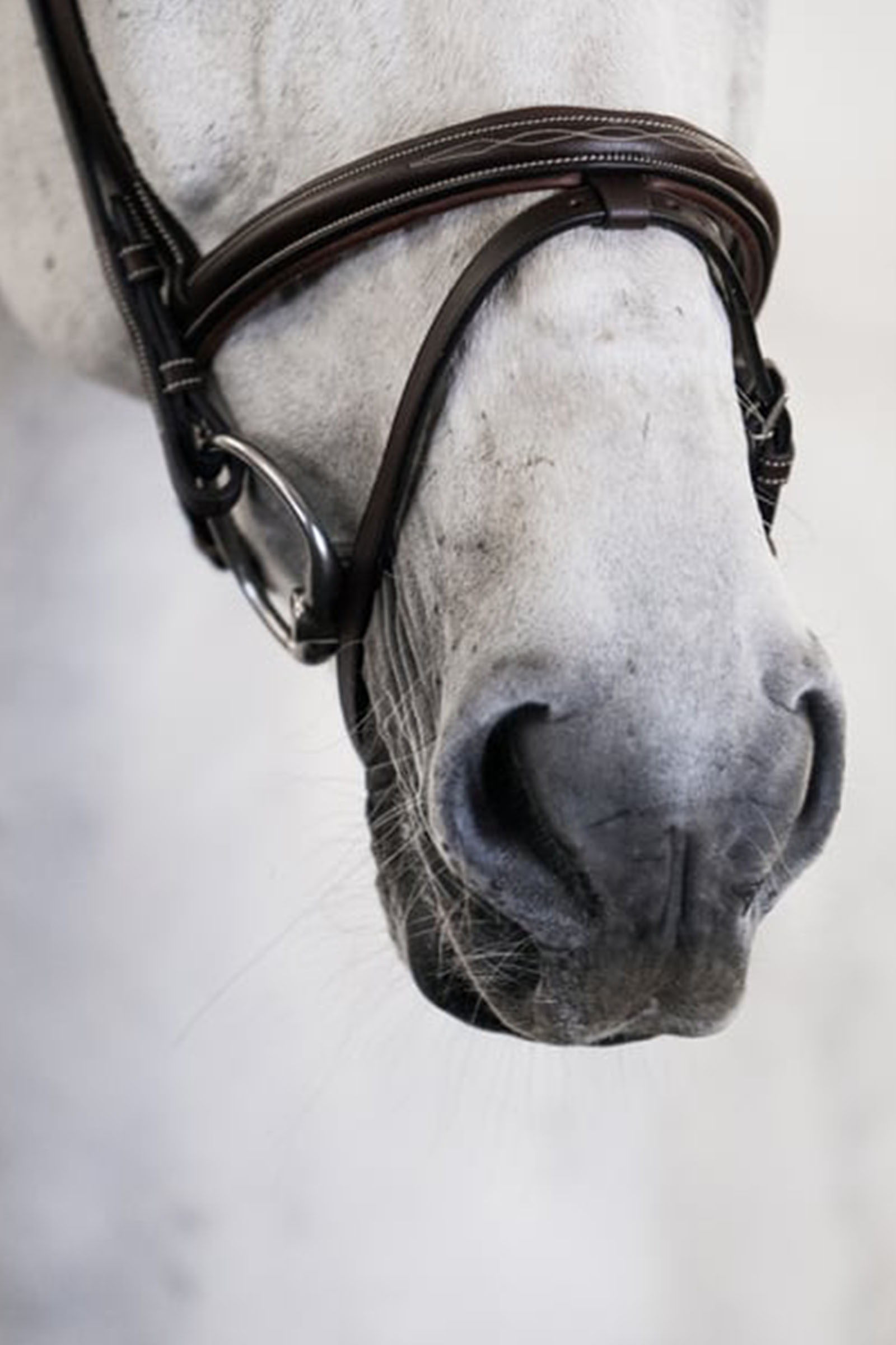 PS of Sweden Stockholm Trense