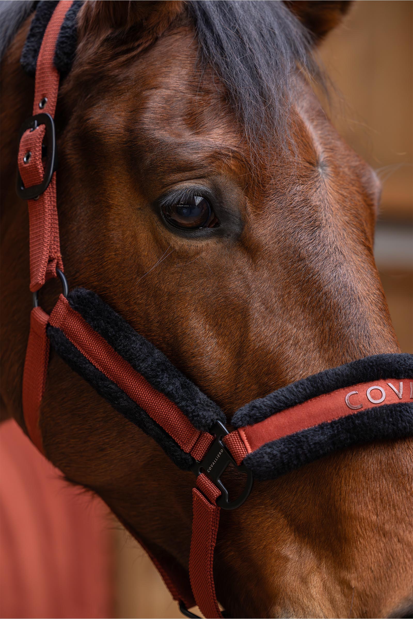 Covalliero Gepolstertes Halfter