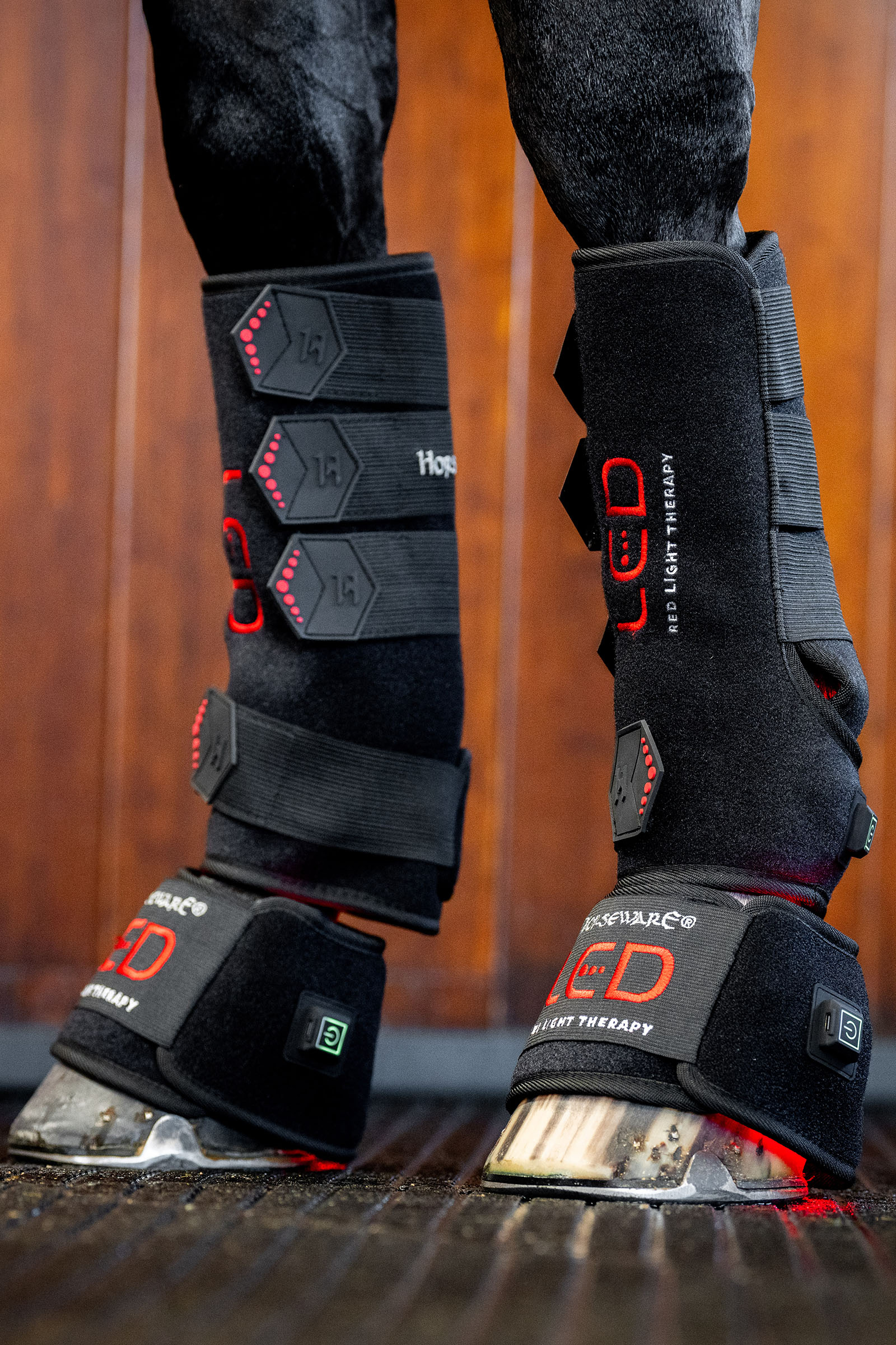 Horseware LED Rotlicht Therapie Gamasche (1 Stk.)