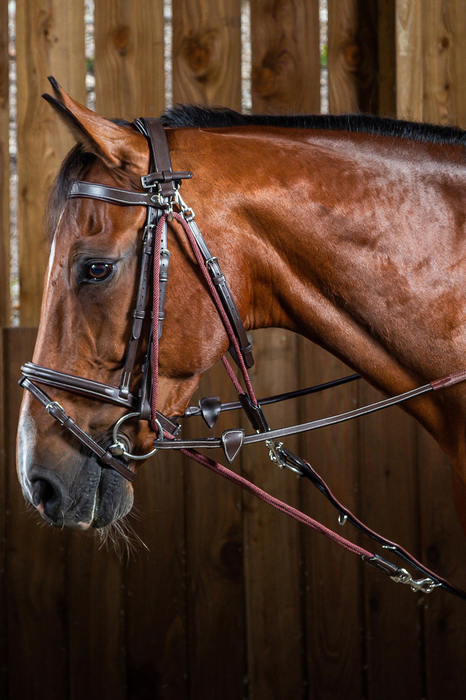 Dy'on Working Gogue mit Nylonseilen  