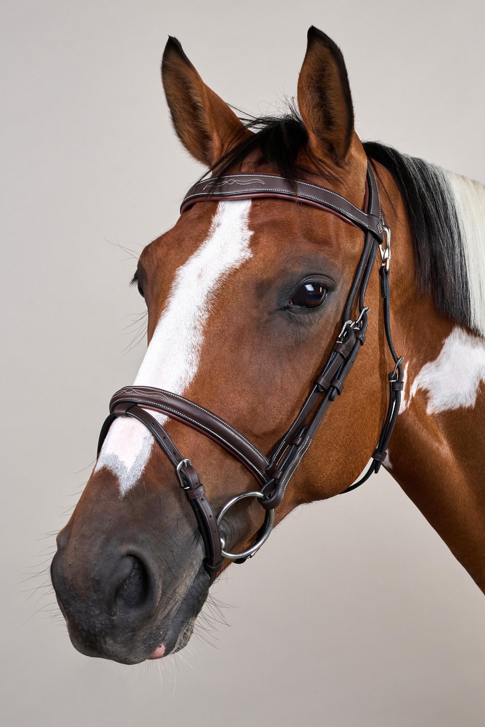 Dy'on Working Trense mit kombiniertem Reithalfter und Karabinerhaken  