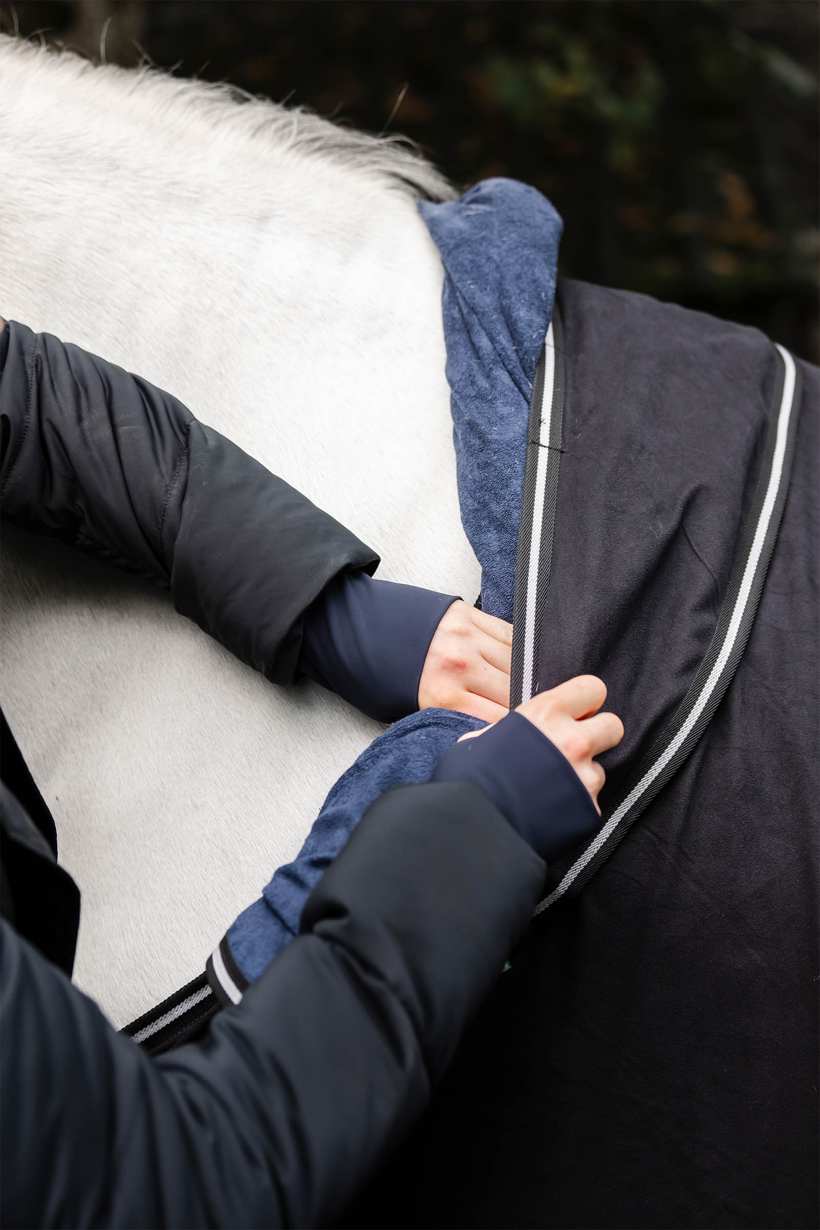 Horseware Show Ready Decke