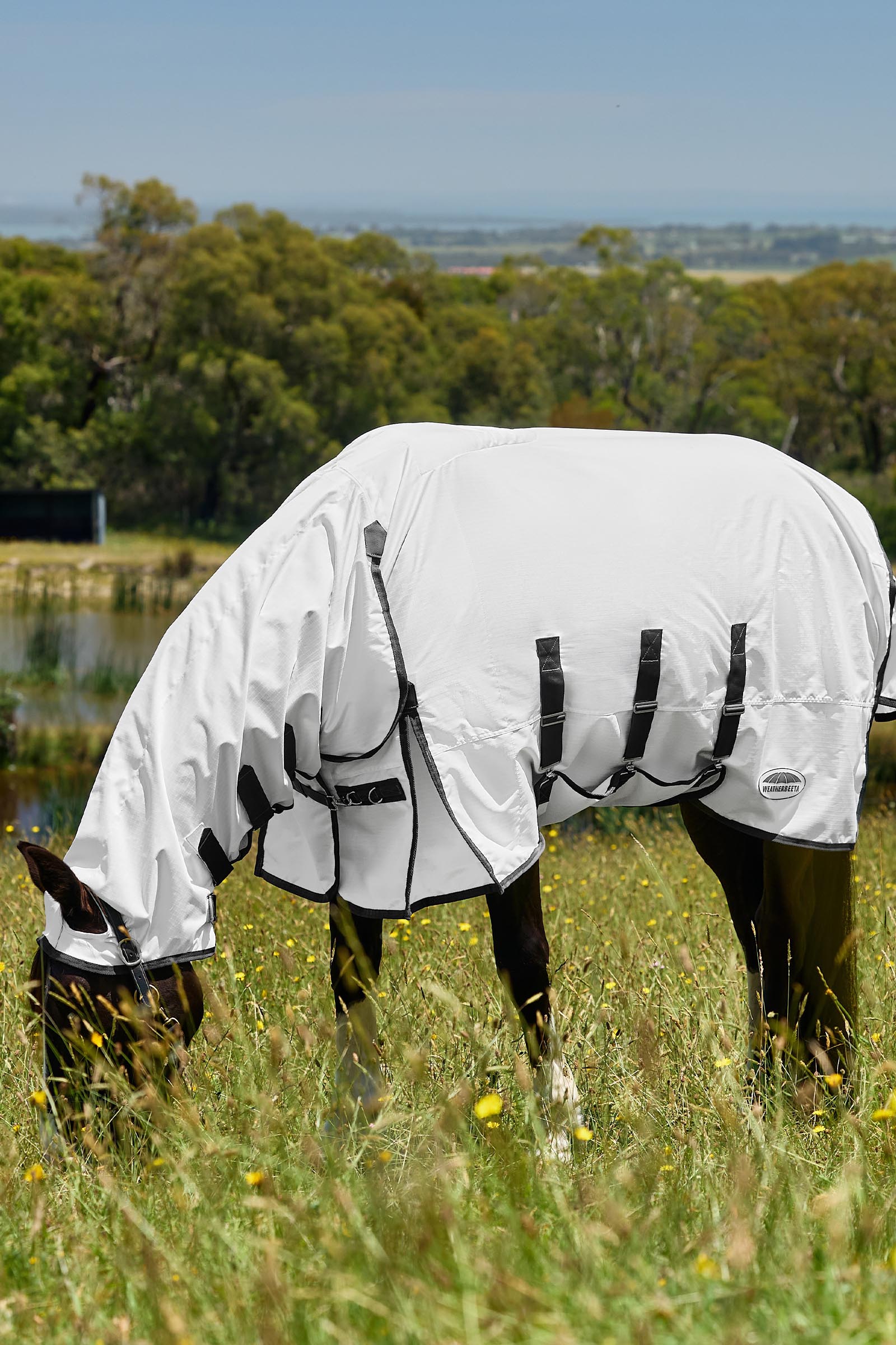 Weatherbeeta ComFiTec Sweet Itch Shield Fliegendecke Kombi mit festem Hals, 0 g  