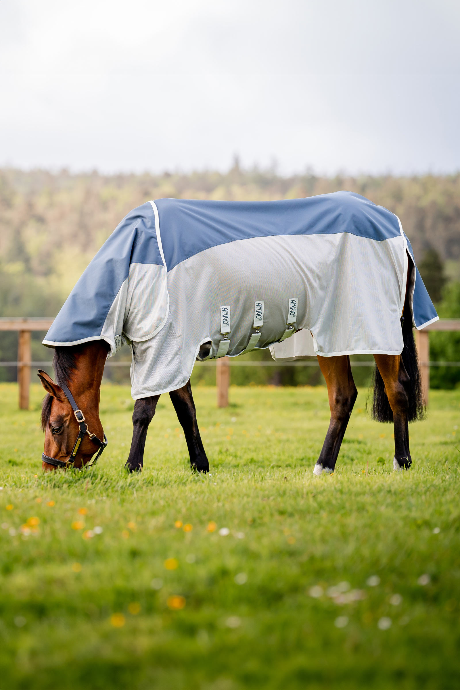 Horseware Amigo AmEco Combi Fliegendecke