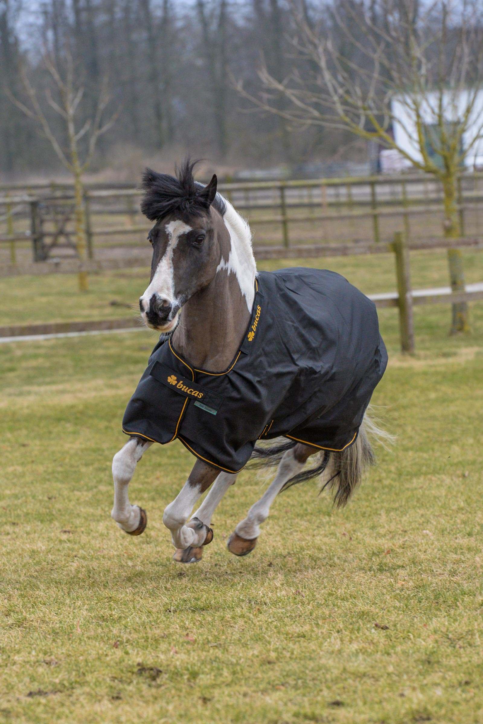 Bucas Irish Weidedecke, 150g