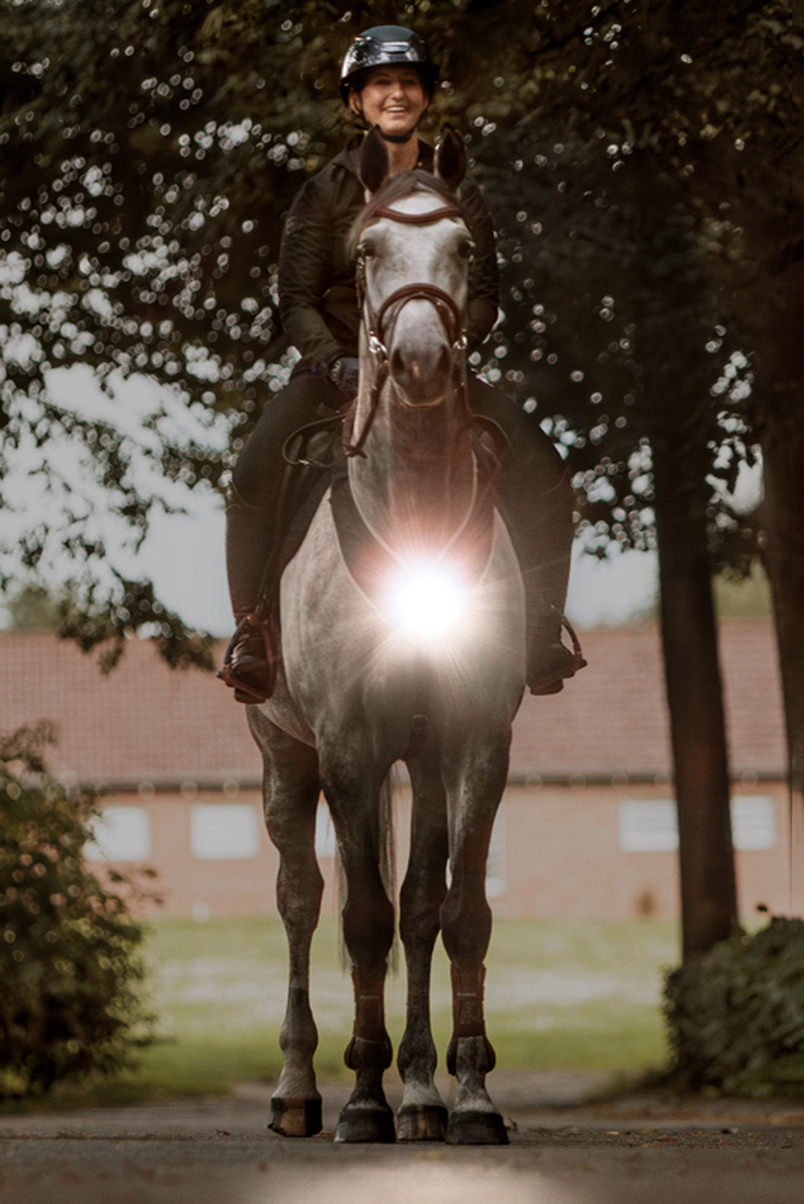 Kavalkade Horselight Vorderzeug- und Sattelleuchte, Set 1