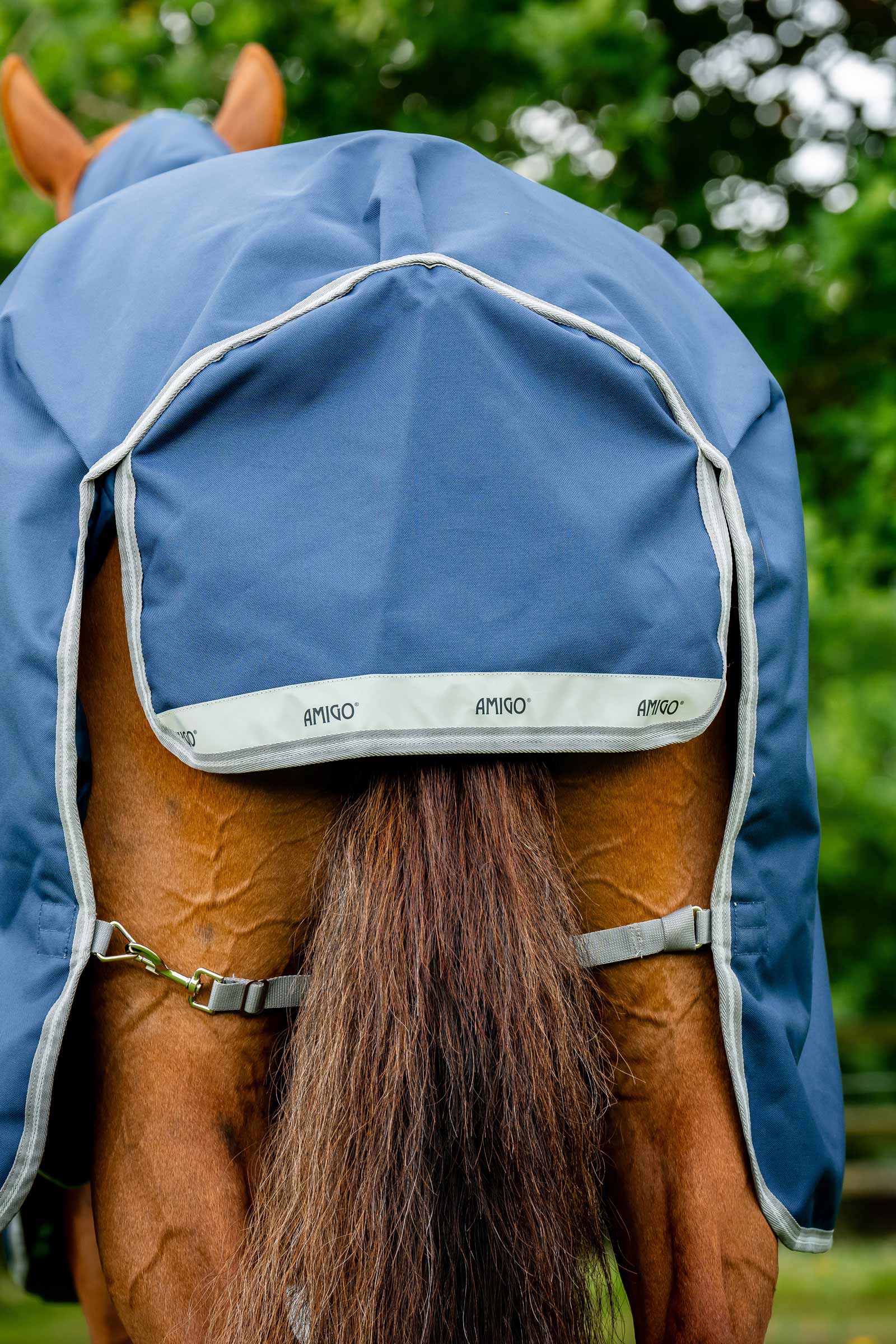 Horseware Amigo Bravo 12 Plus 100g