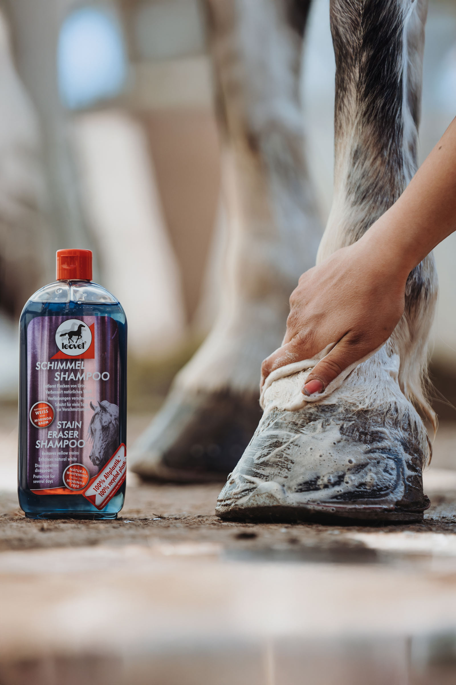 Leovet Schimmel Shampoo