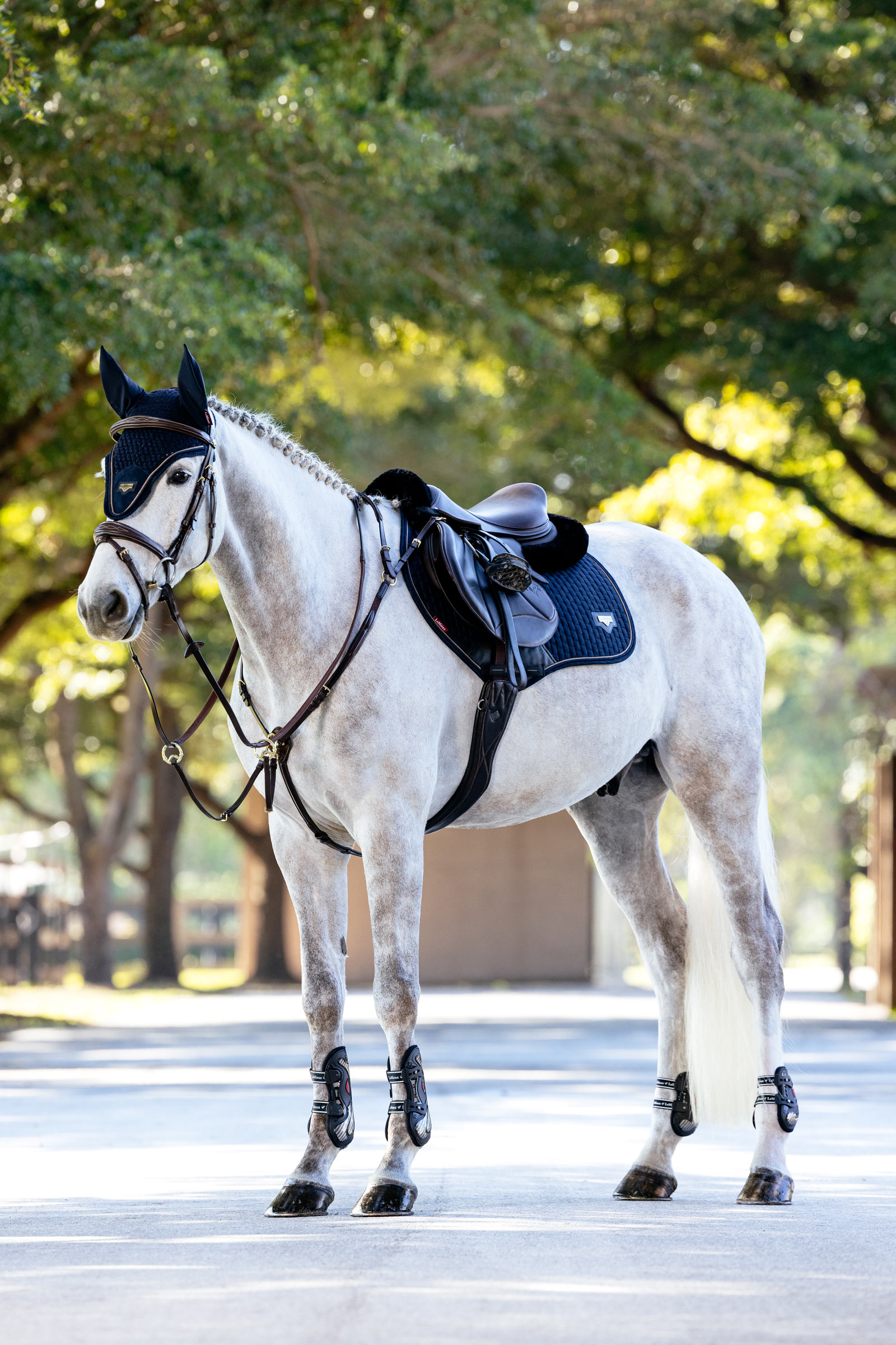 LeMieux Puissance Close Contact Springschabracke aus Wildlederimitat