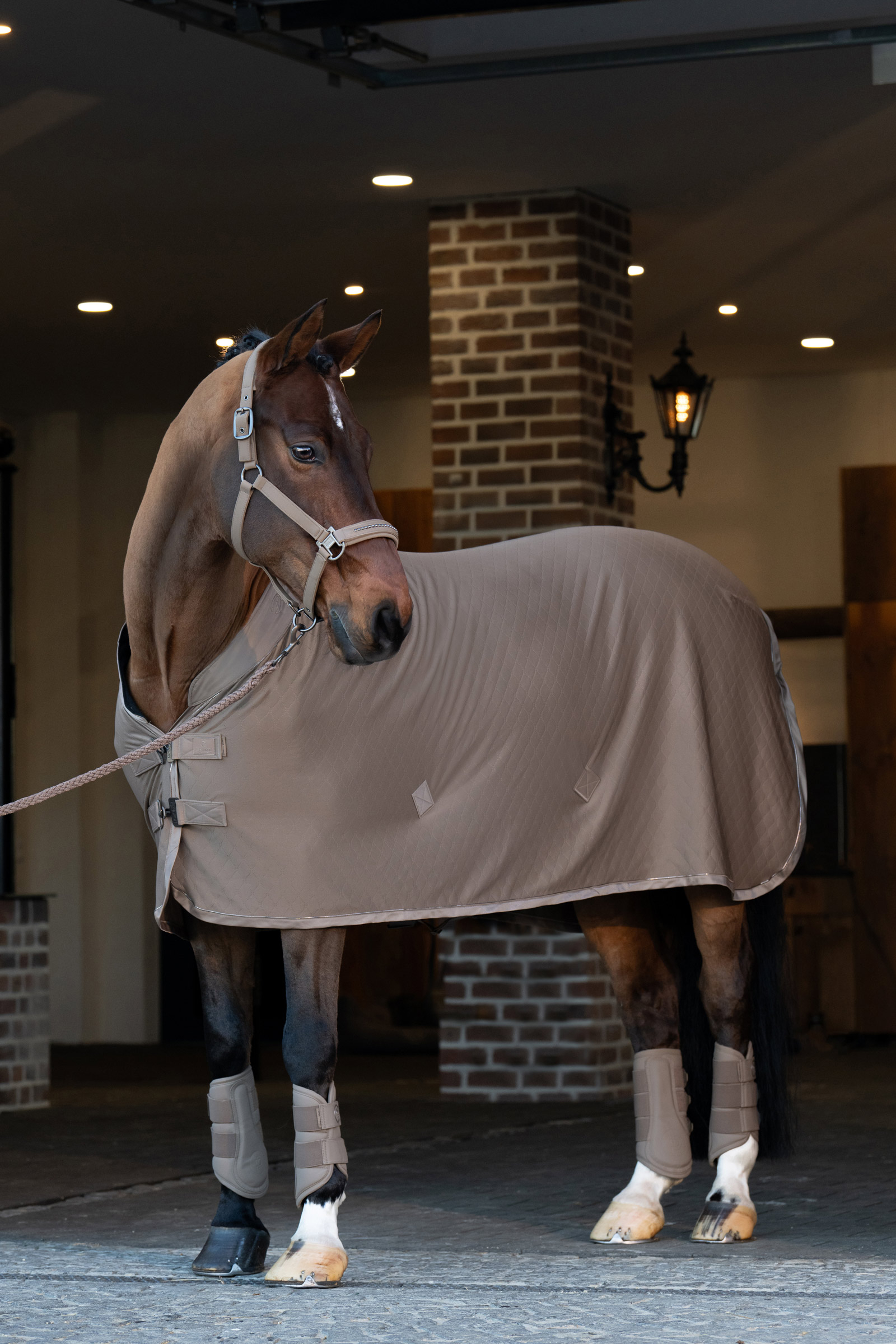 Eskadron Platinum 25 Gamaschen aus Kunstleder