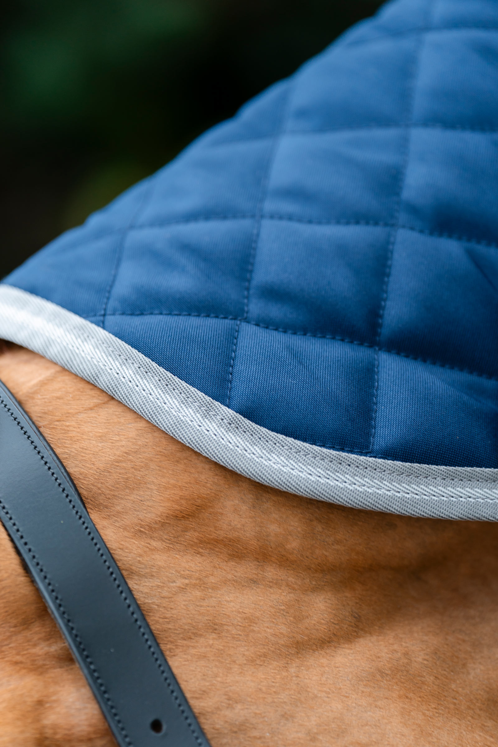 Horseware Amigo Stepp-Stalldecke Plus, 200 g