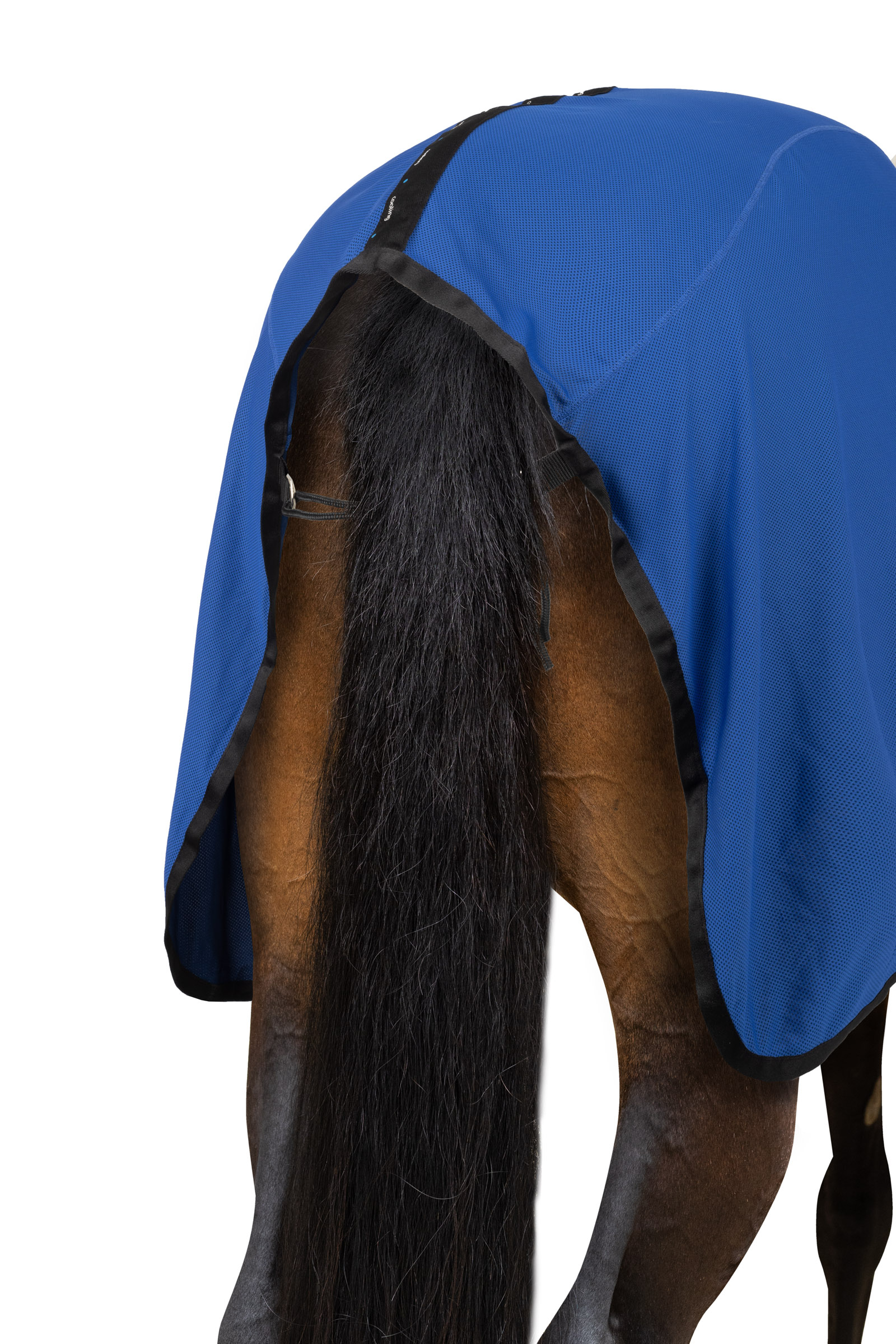 Horze K&uuml;hlende Netzdecke