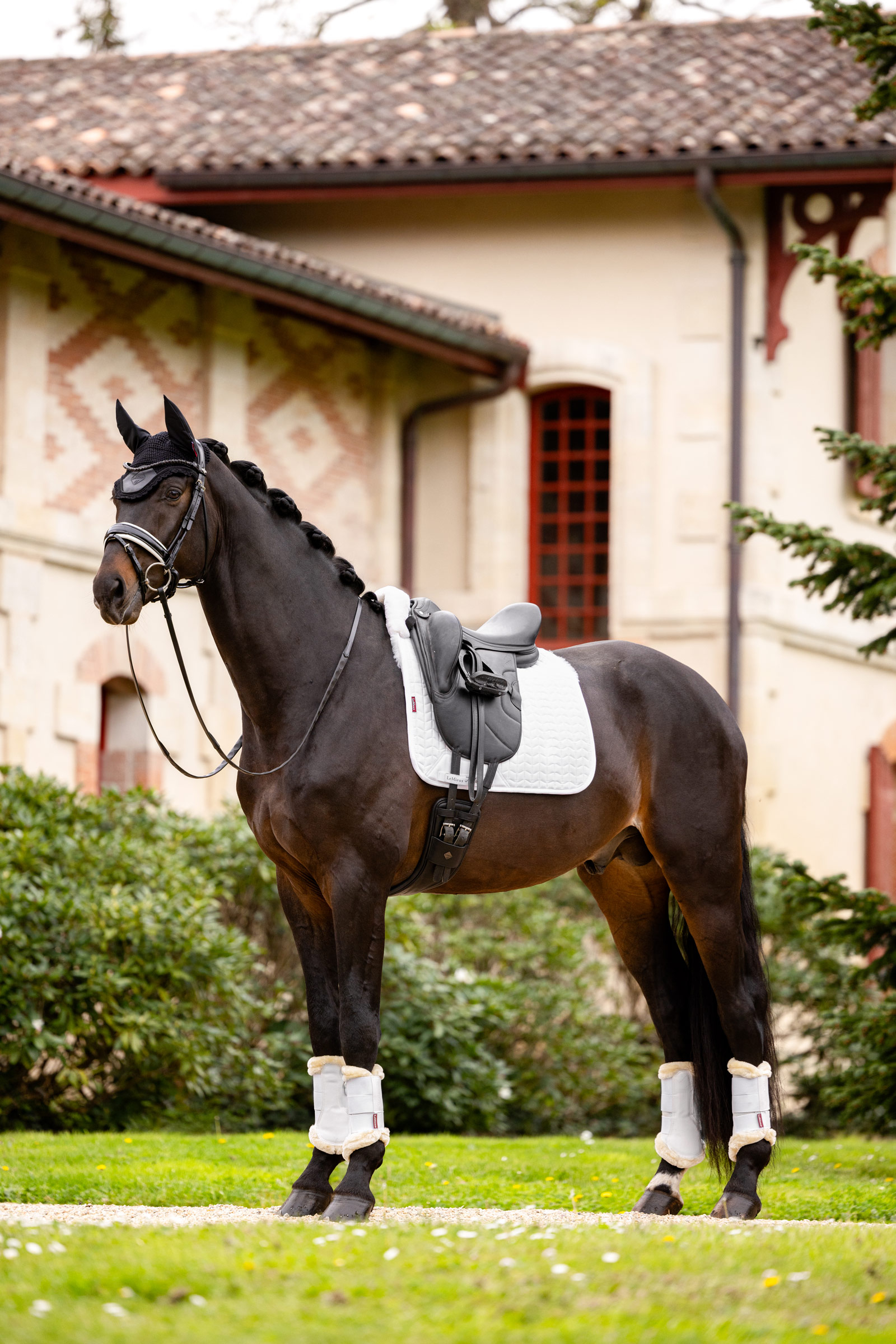 LeMieux Merino+ Dressurschabracke, halb gef&uuml;ttert