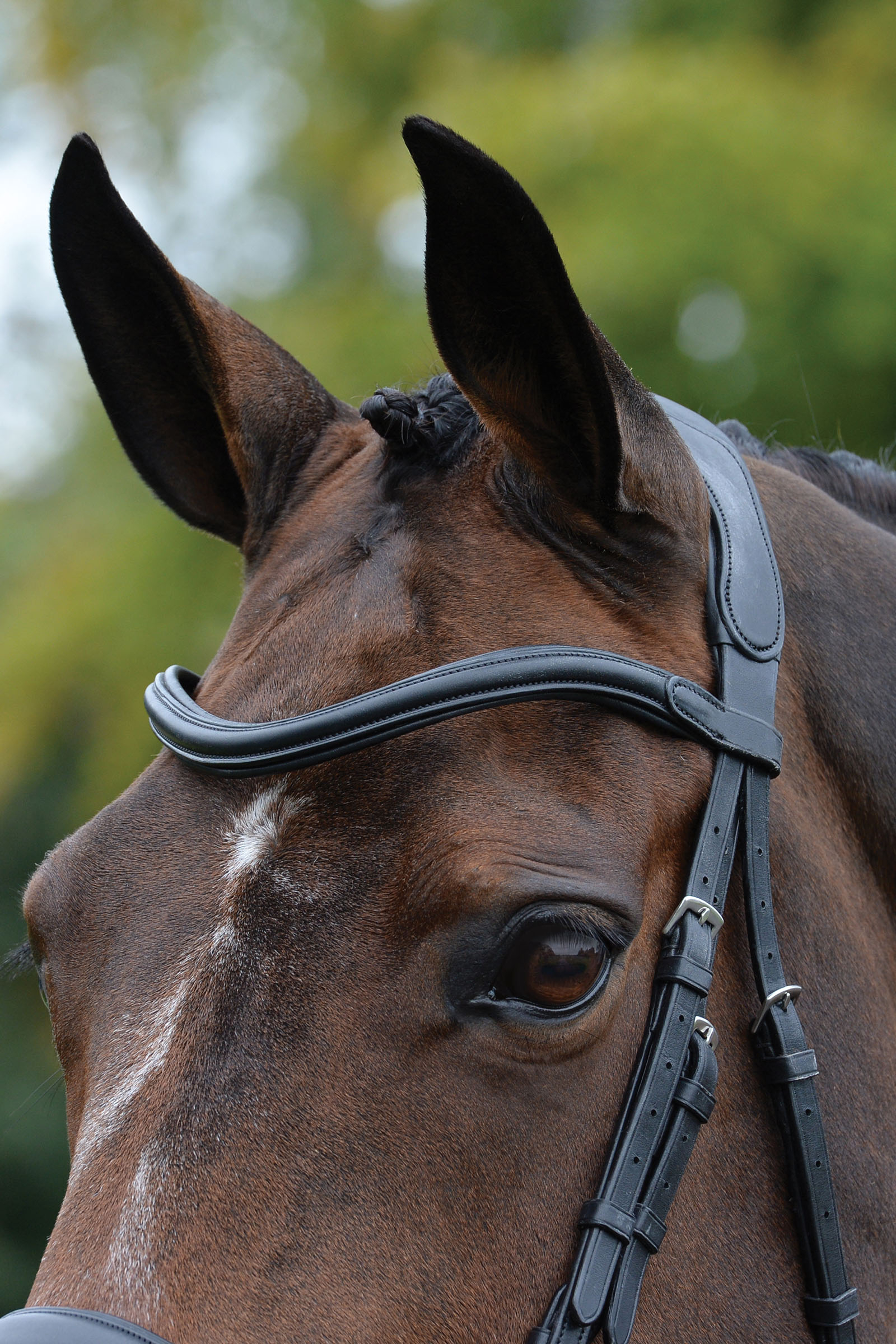 Collegiate Comfitec Vogue anatomisch geformte Trense