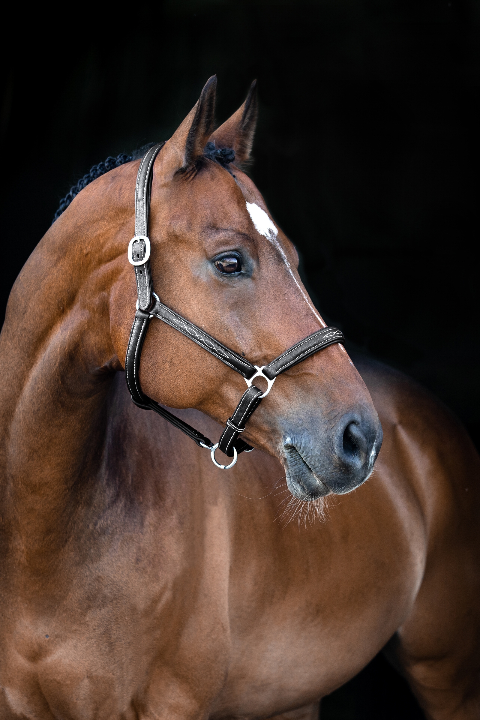 Horze Warren weiches Lederhalfter