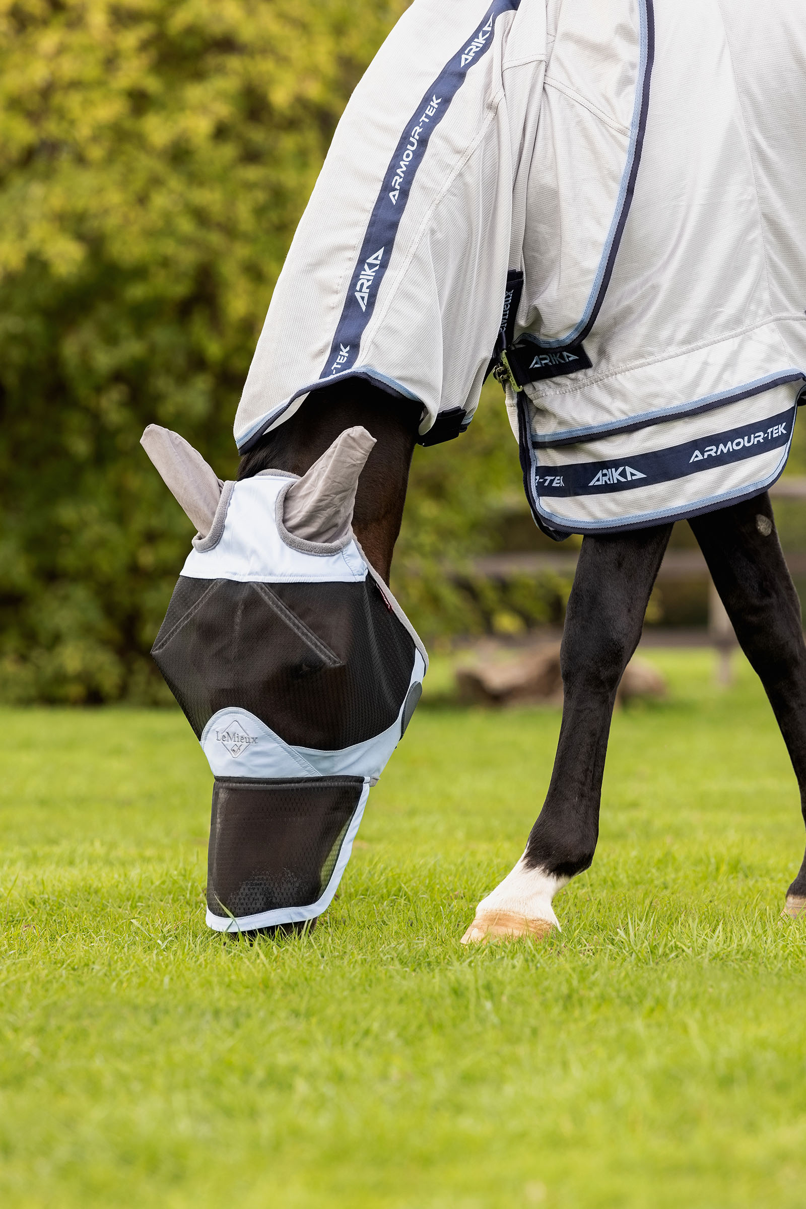 LeMieux Kudos Gladiator Fliegendecke