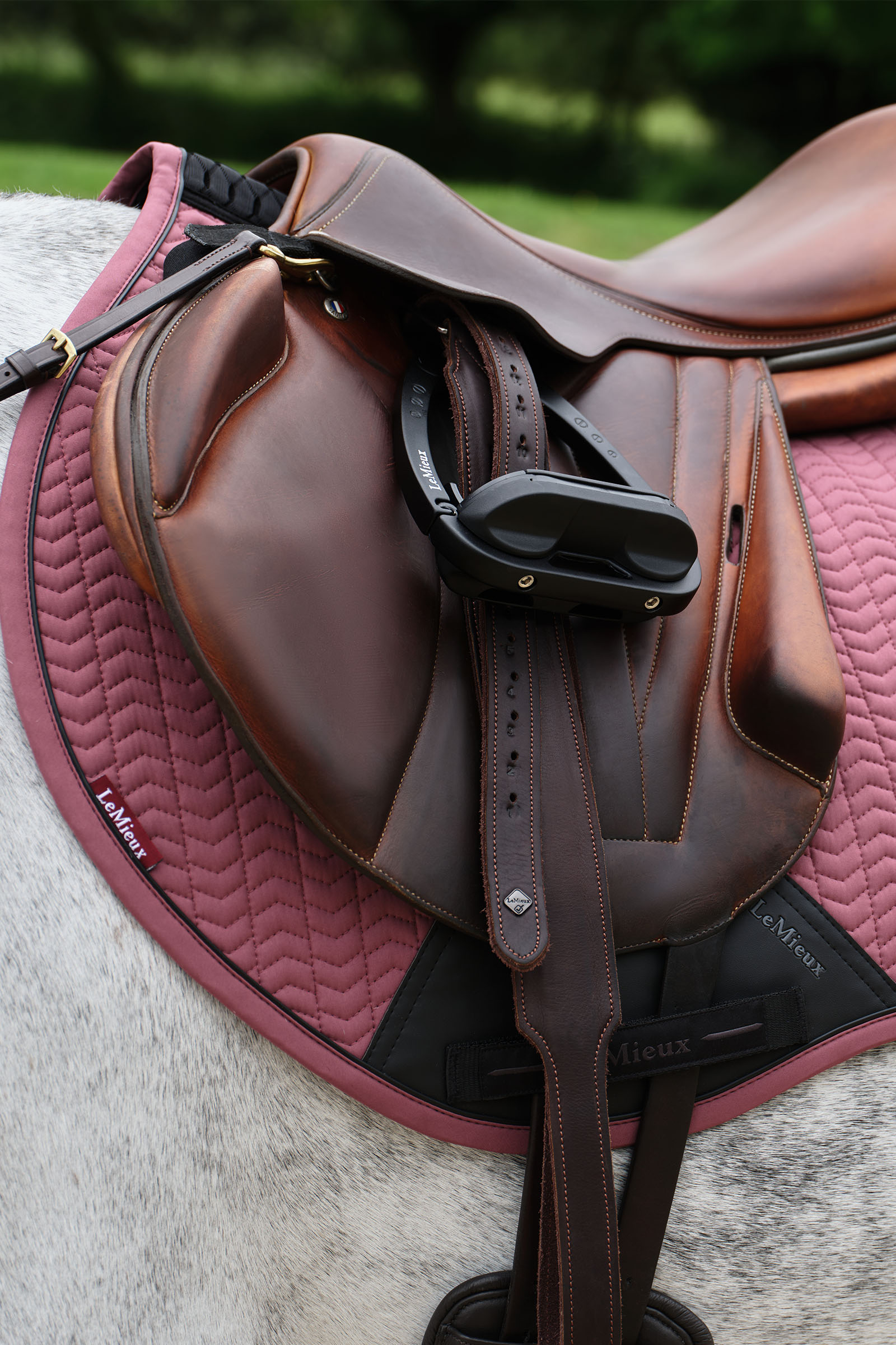 LeMieux Essence Eurojump Springschabracke