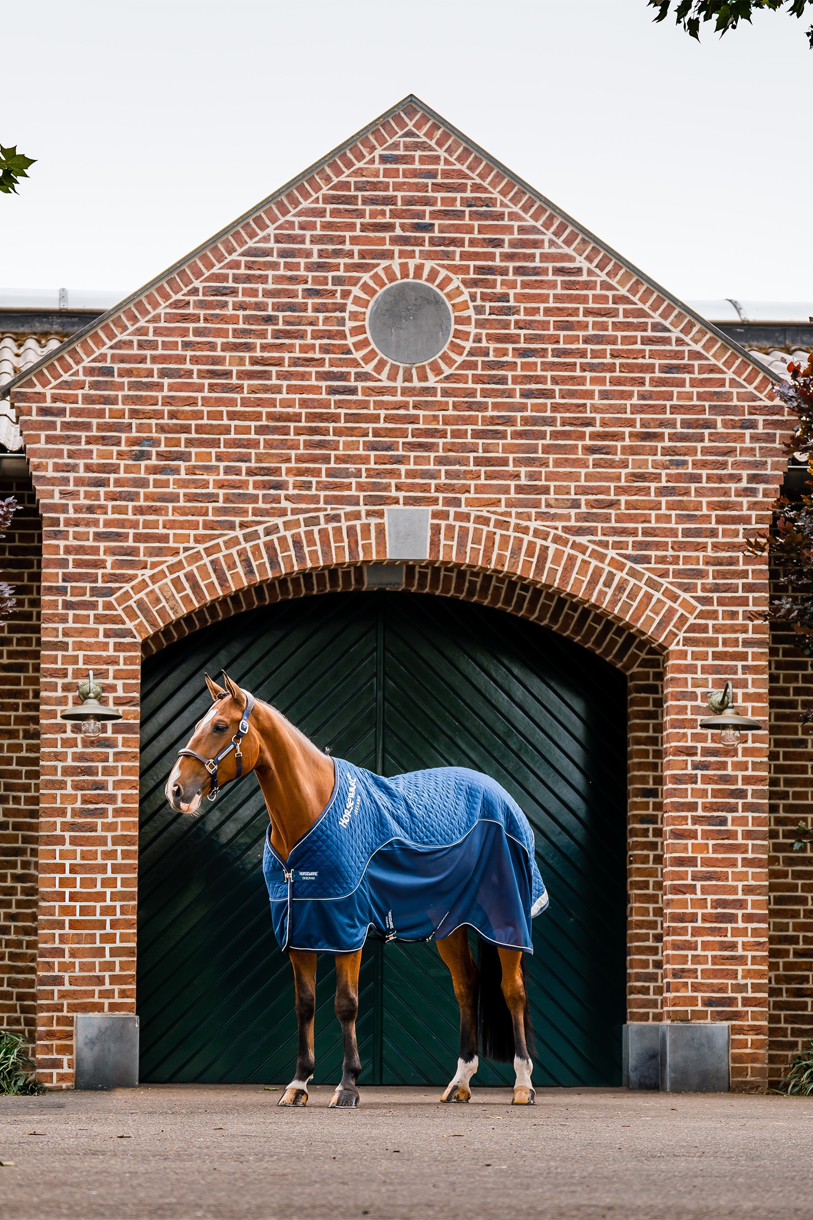 Horseware Signature Transportdecke, 50g