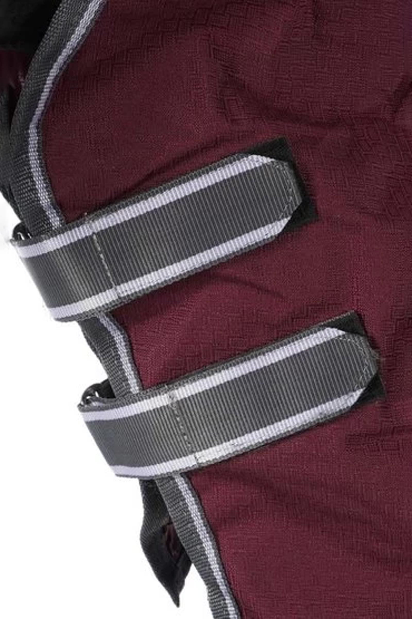 Weatherbeeta Comfitec Plus Dynamic II Weidedecke mit abnehmbarem Halsteil, 220g