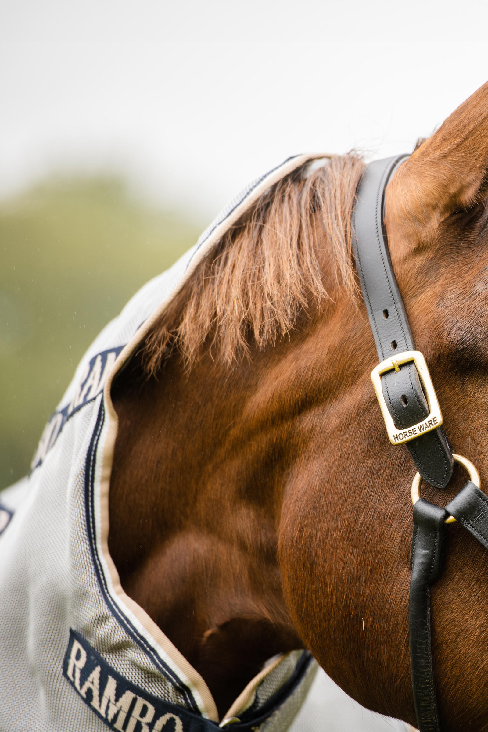 Horseware Rambo Protector Fliegendecke mit abnehmbarem Halsteil