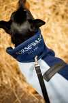 Horseware Signature Hundefleecedecke
