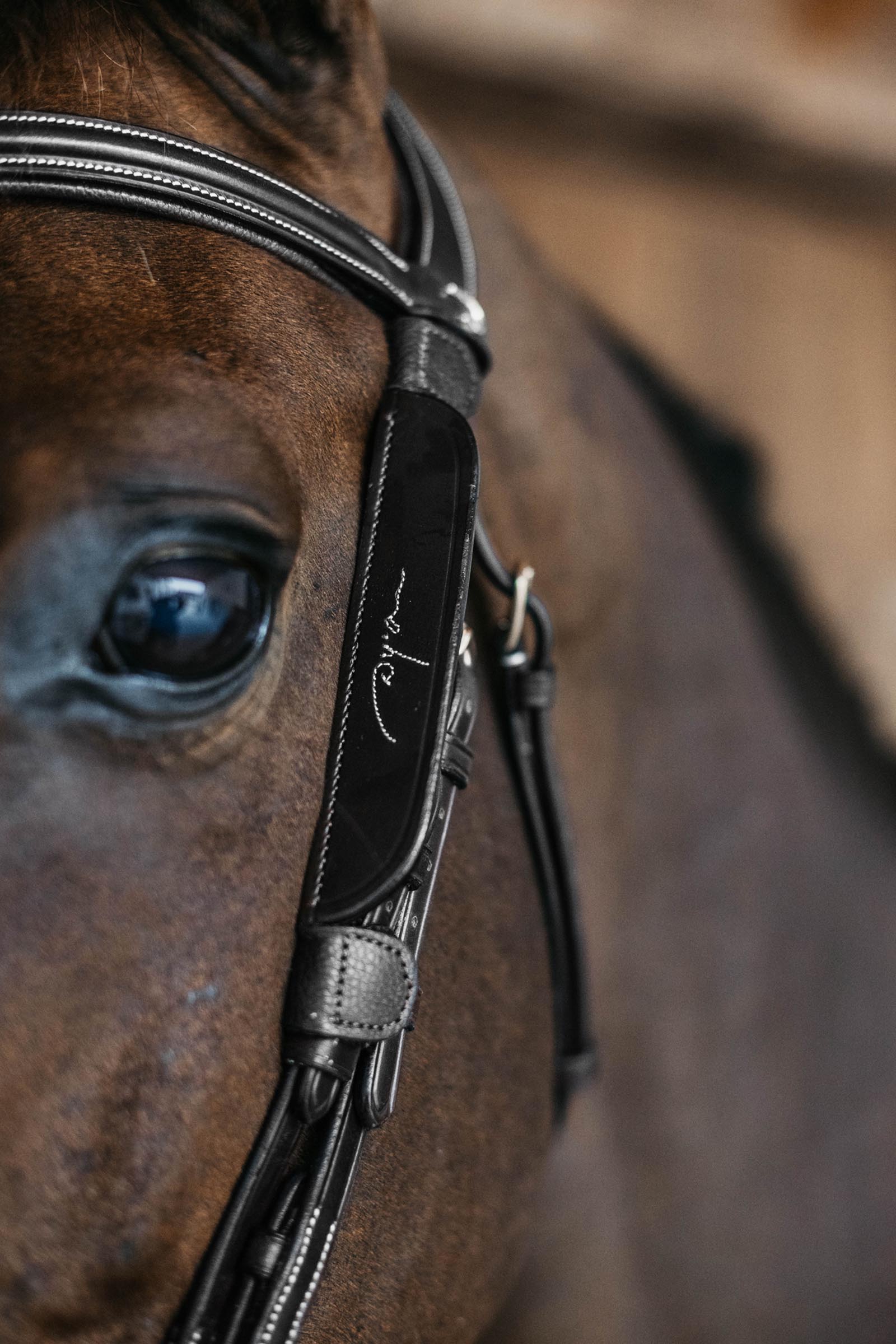 Dy'on Scheuklappen mit Ziernaht  