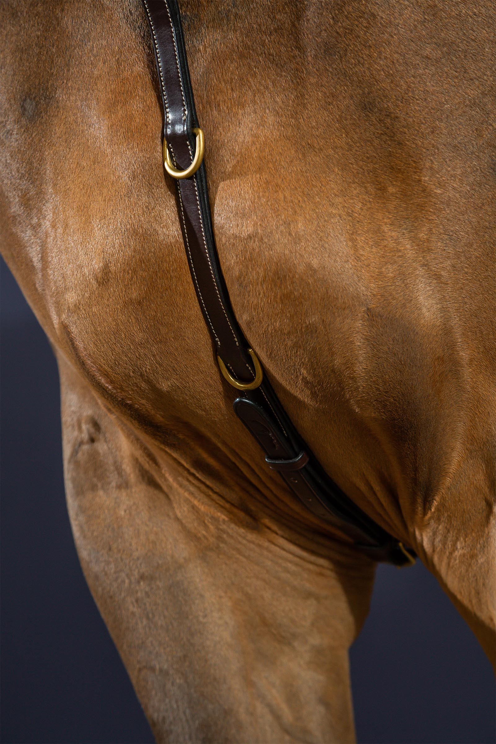 Dy'on D Collection Vorderzeug mit Brücke